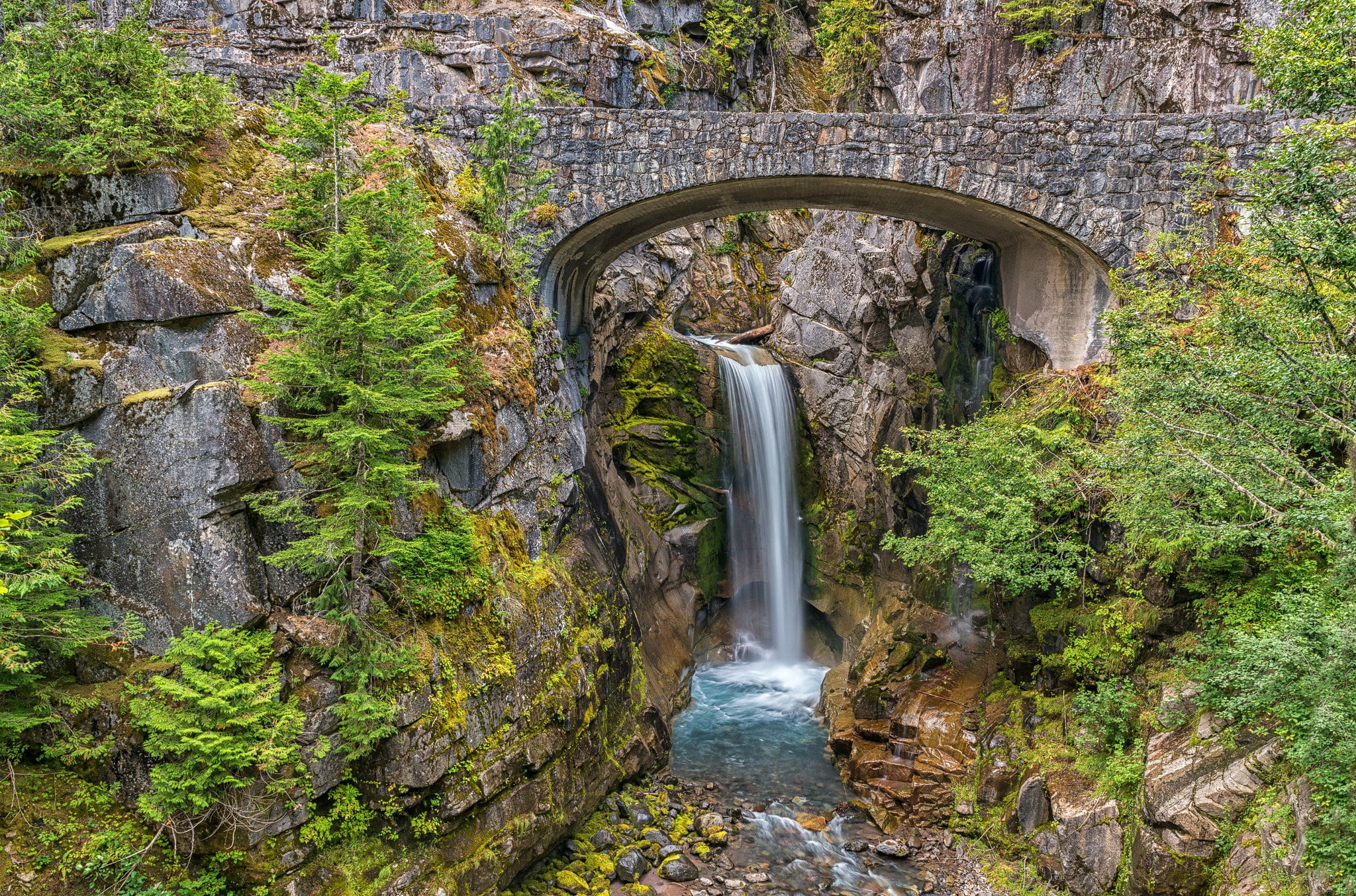 stream, mountains, bridge - man made structure, scenics - nature, plant, trees, forest, Mount Rainier National Park, rock - object, bridge, solid, tree, HD Wallpaper