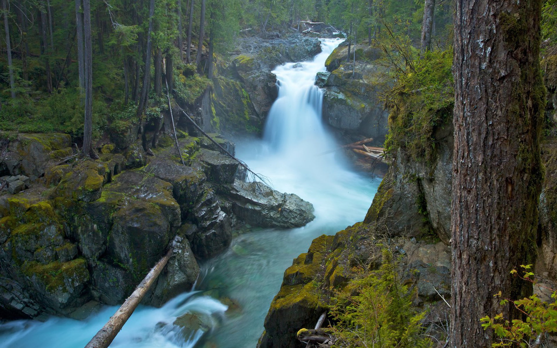 1080P, ohanpecosh, park, noise, rock, hd, national, rainier, river, silver, mount, mountain, usa, falls, moss, beautiful, HD Wallpaper