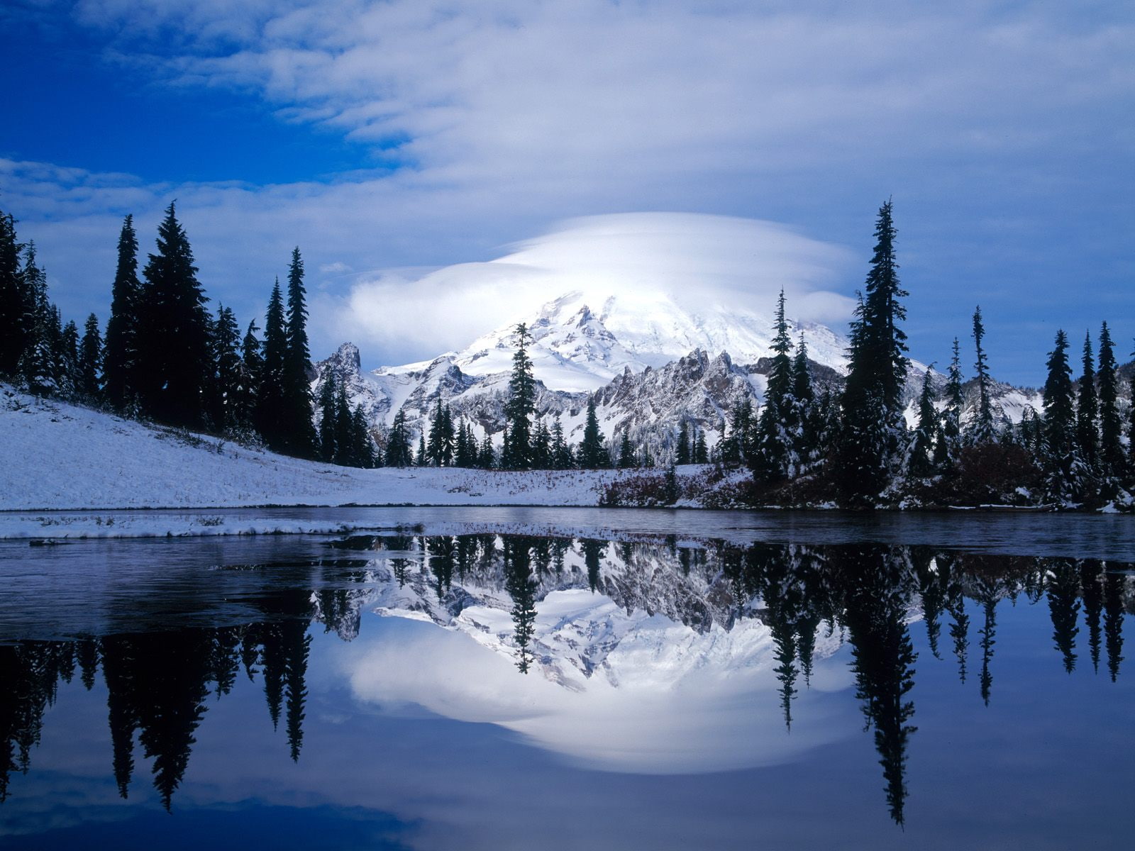 mount, reflected, trees, tipsoo, rainier, pine, lake, 720P, HD Wallpaper