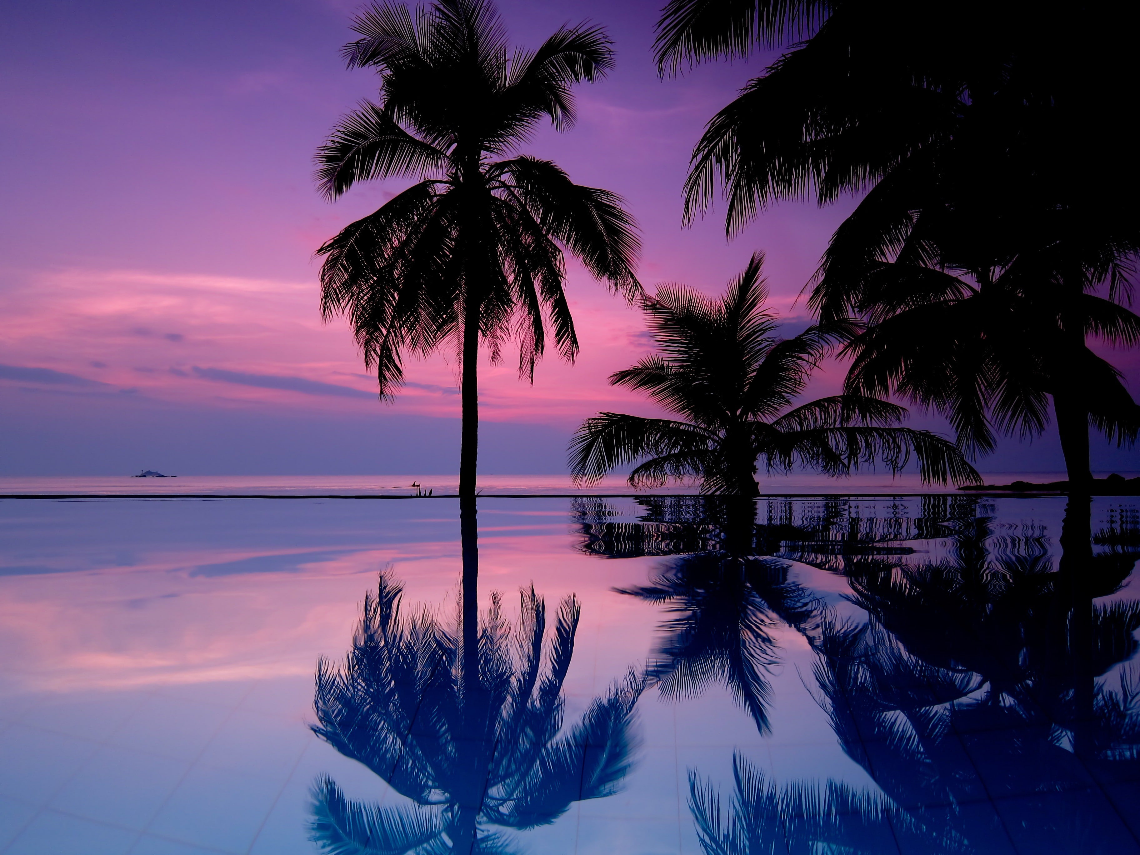plant, sky, water, nature, outdoors, sunset, purple, tranquil scene, idyllic, coconut palm tree, beauty in nature, reflection, no people, tropical climate, HD Wallpaper