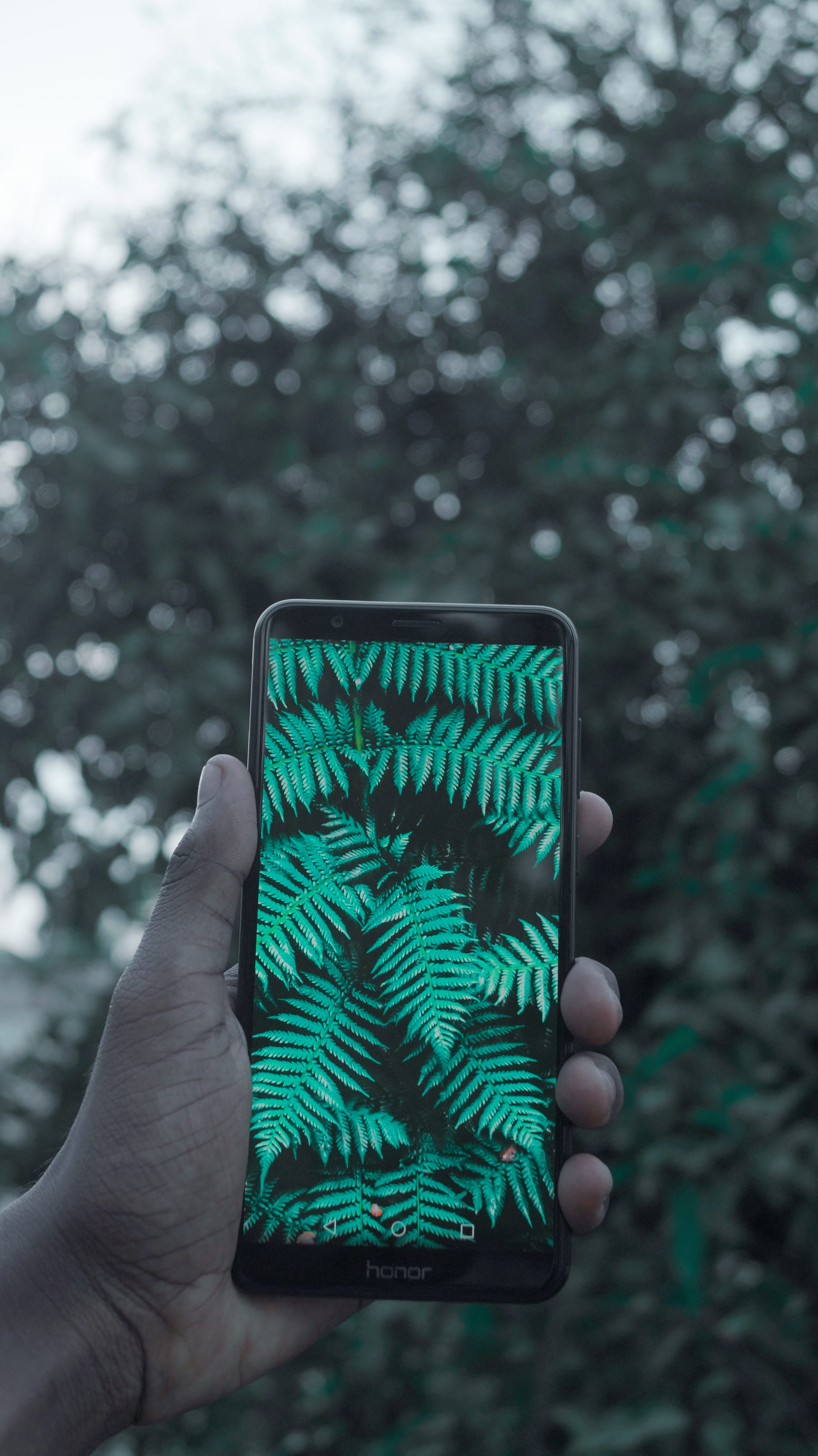 body part, kochi, hand, outdoors, one person, human finger, technology, india, tree, nature, focus on foreground, 5K, unrecognizable person, communication, Phone HD Wallpaper