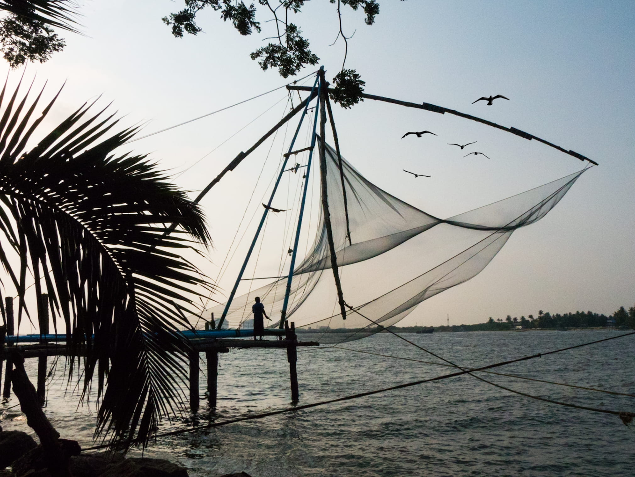 real people, water, sky, leisure activity, birds, kochi, men, transportation, 1080P, silhouette, fishing, nature, lifestyles, sea, outdoors, people, scenics - nature, HD Wallpaper