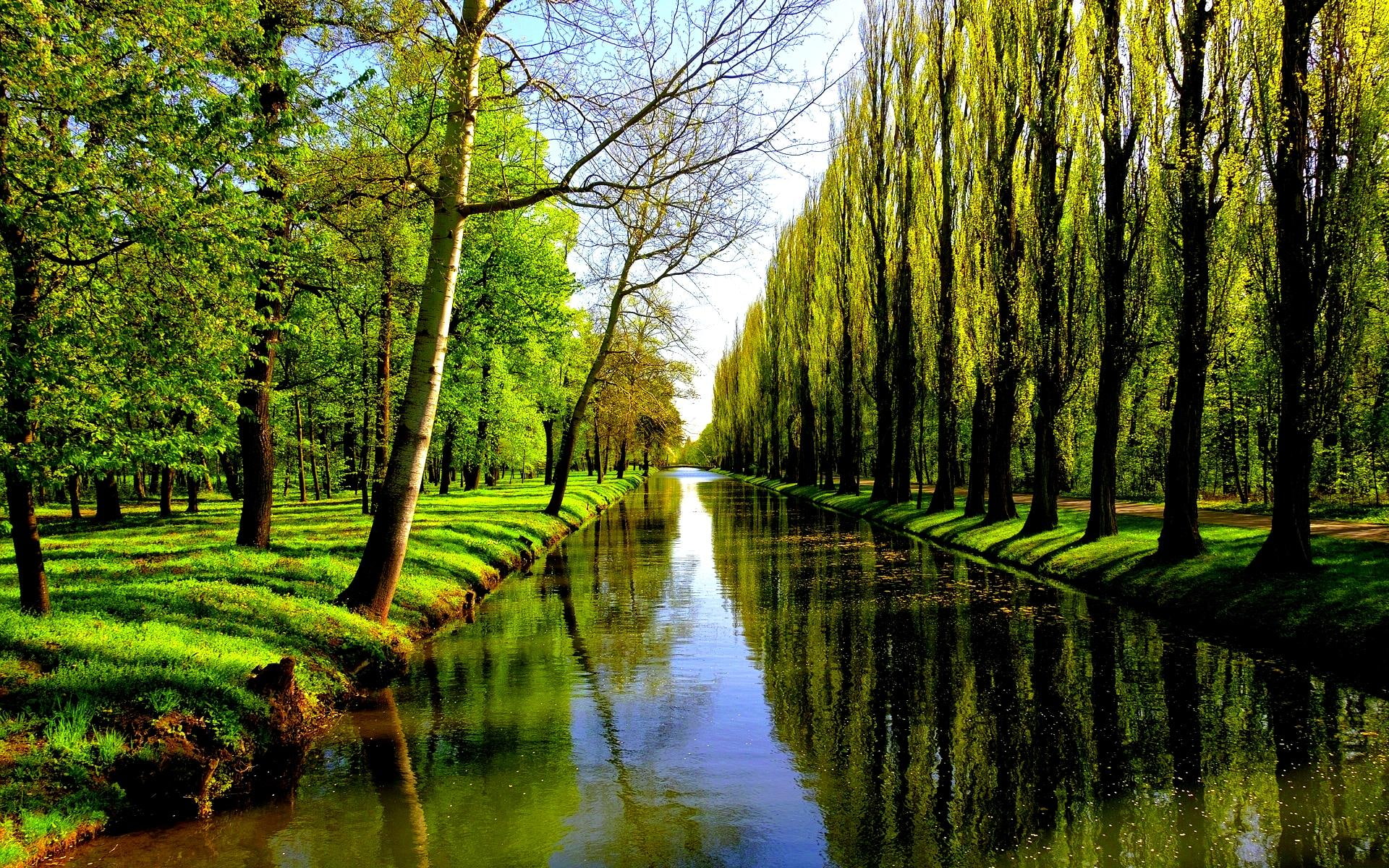 3d and abstract, river, trees, 1080P, backwater, walkway, alley, HD Wallpaper