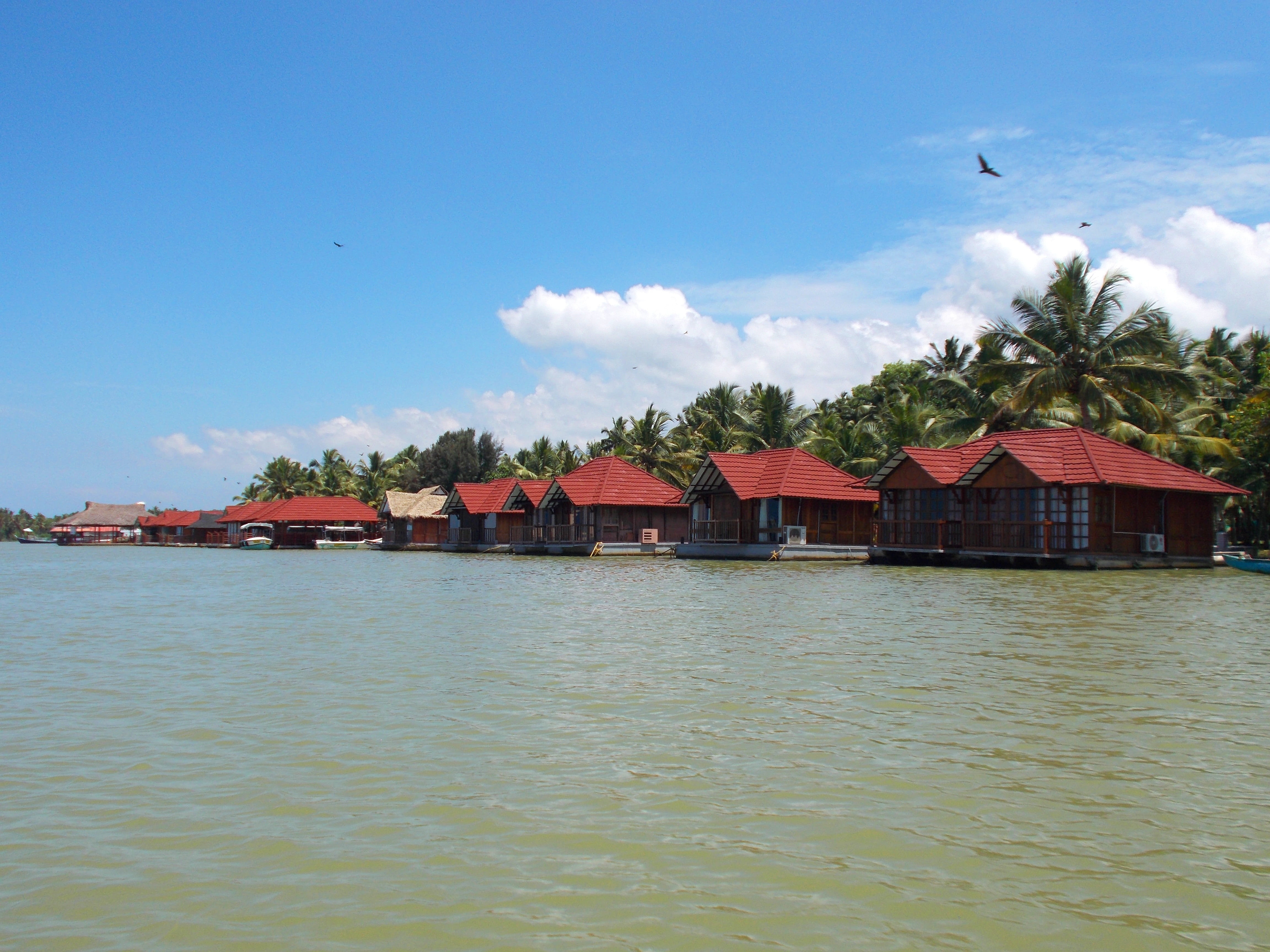 kerala, vertebrate, house, animal, waterfront, day, Backwaters, scenics - nature, sky, nature, bird, 4K, architecture, Cottages, building, Trivandrum, HD Wallpaper