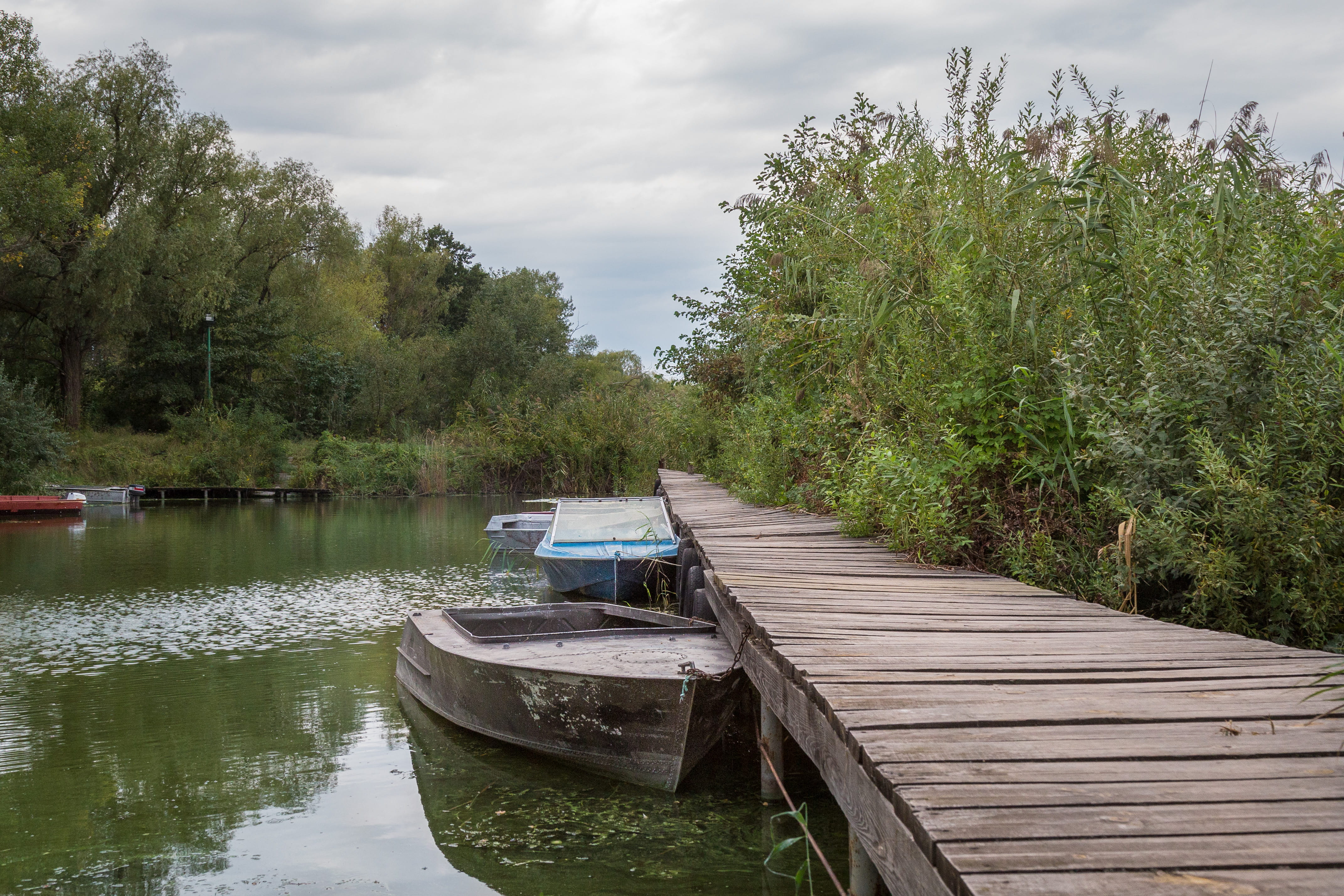 nautical vessel, calm, nature, day, 4K, lake, dock, no people, dnipro, wood - material, moored, sky, trees, green, green color, mode of transportation, HD Wallpaper