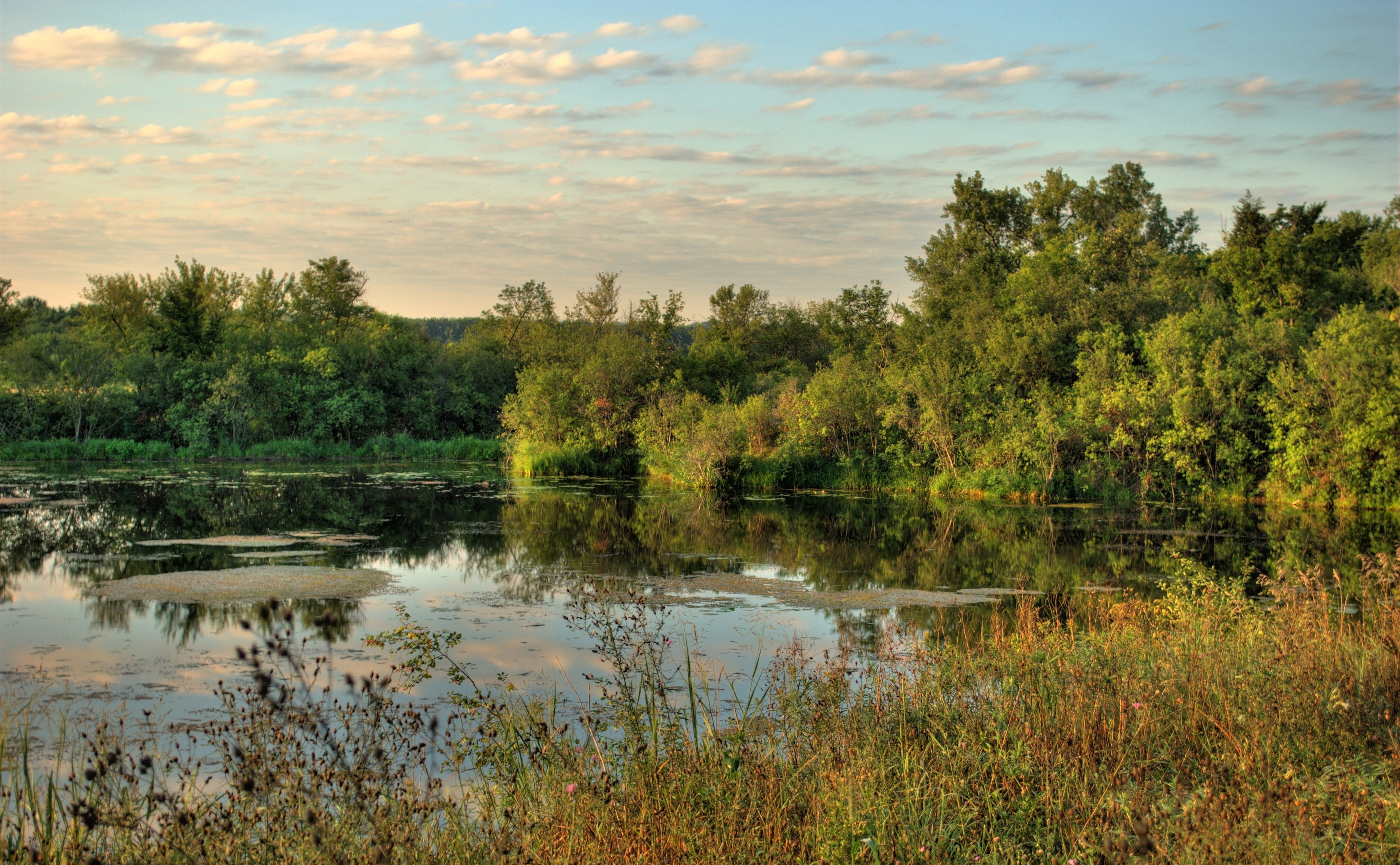 non-urban scene, tranquil scene, water, tree, green, Backwater, near, 4K, Minnesota, plant, cloud - sky, scenics - nature, outdoors, no people, River, HD Wallpaper