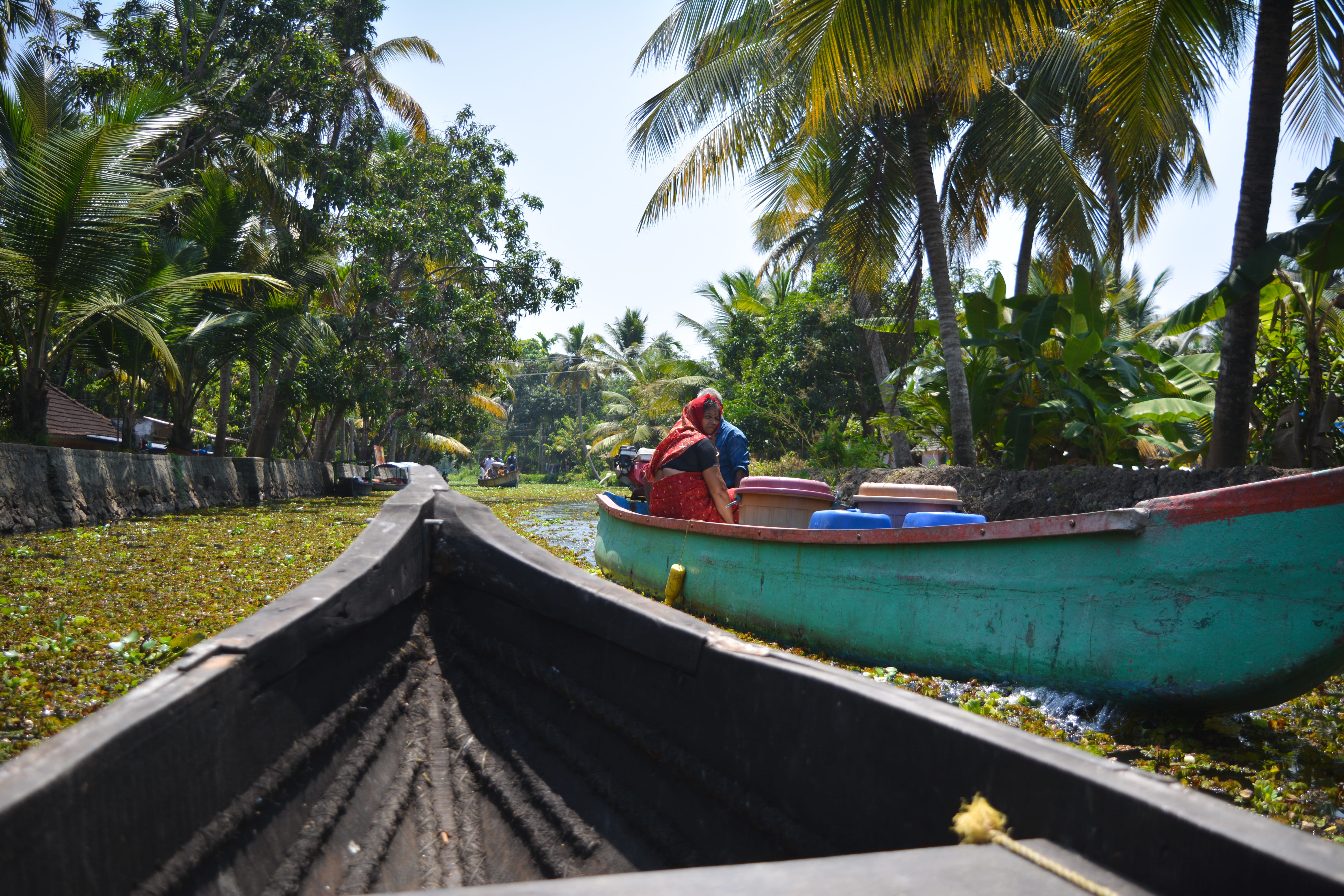 palm tree, boats, transportation, real people, village, water, nautical vessel, growth, india, one person, life, kerela, villages, mode of transportation, HD Wallpaper