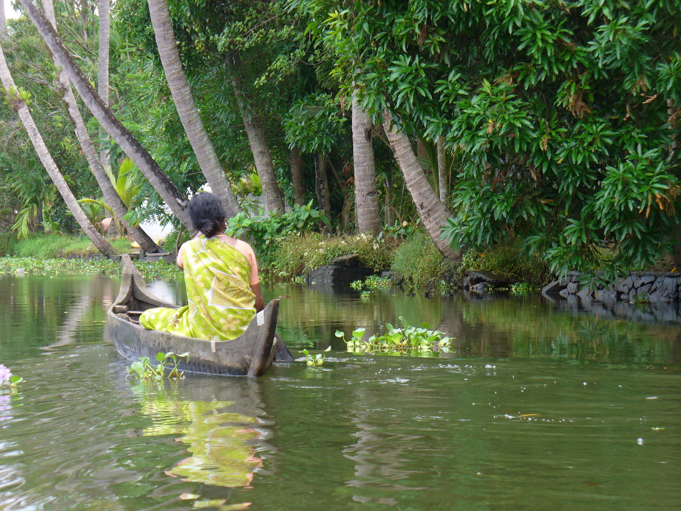 day, 1080P, indian woman, water, green color, beauty in nature, reflection, sitting, plant, nature, tree, rear view, real people, leisure activity, backwaters, HD Wallpaper
