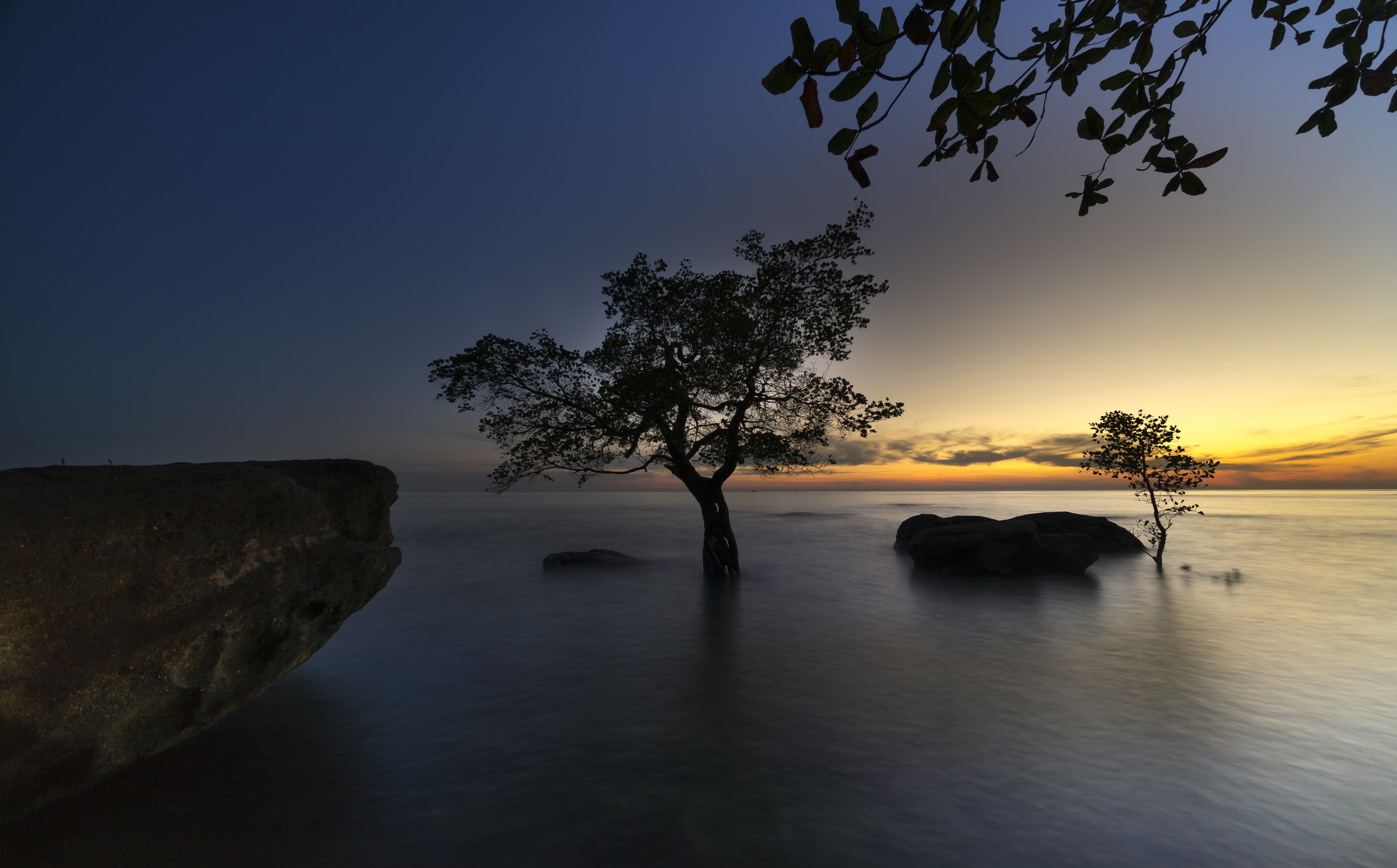 non-urban scene, tranquility, outdoors, sunset, Water, Nature, Rocks, Tree, phu, branch, beauty in nature, flooding, twilight, waterfront, mangrove, quoc, HD Wallpaper