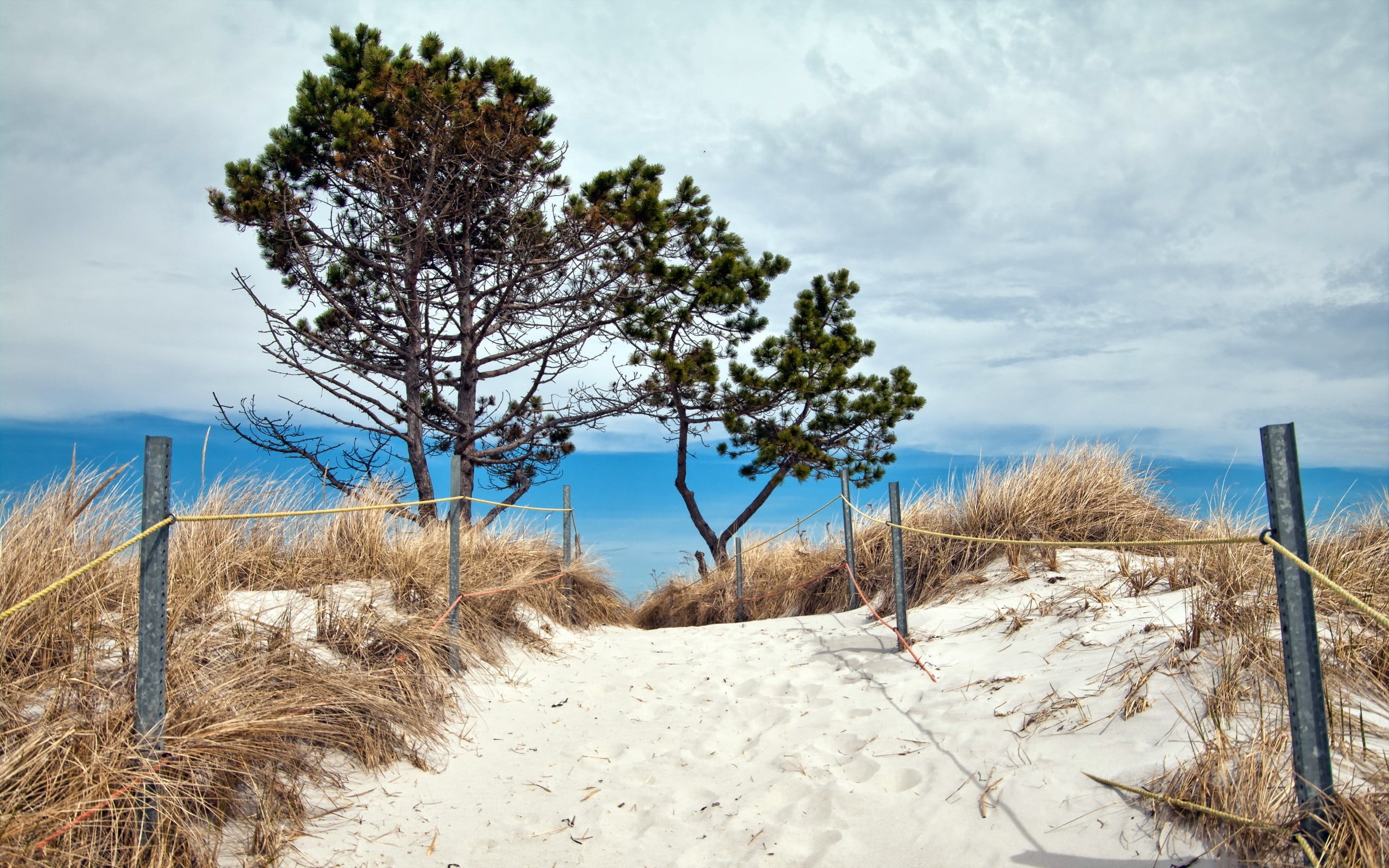 path, coast, marram grass, beauty in nature, winter, clouds, sea, nature, day, plant, sand, no people, 2K, sky, outdoors, land, landscape, grass, trees, HD Wallpaper