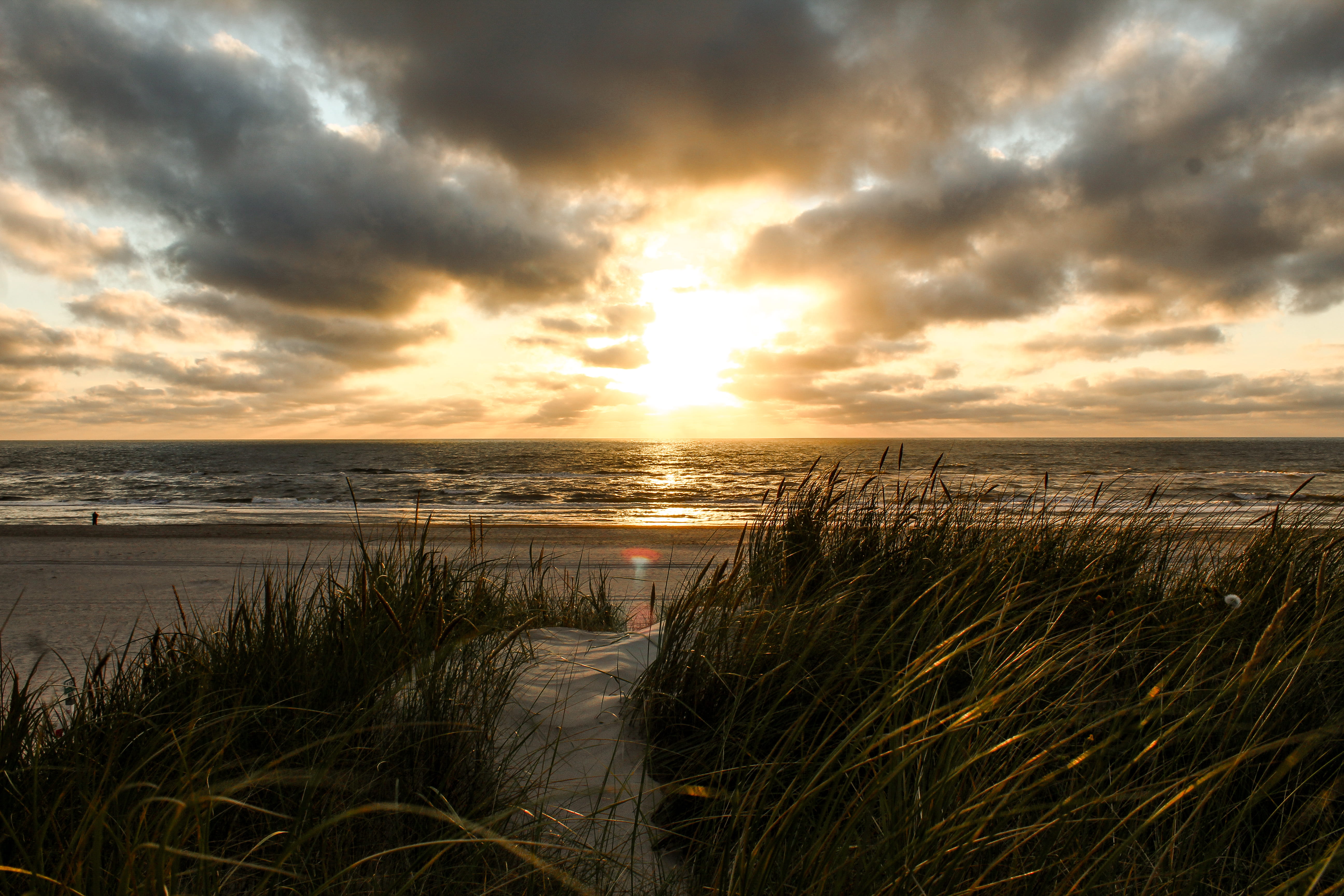 grass, sky, nature, red sky, horizon, beauty in nature, dawn, sunlight, sunrise, henne strand, sunset, dusk, 5K, marram grass, tranquility, outdoors, water, HD Wallpaper