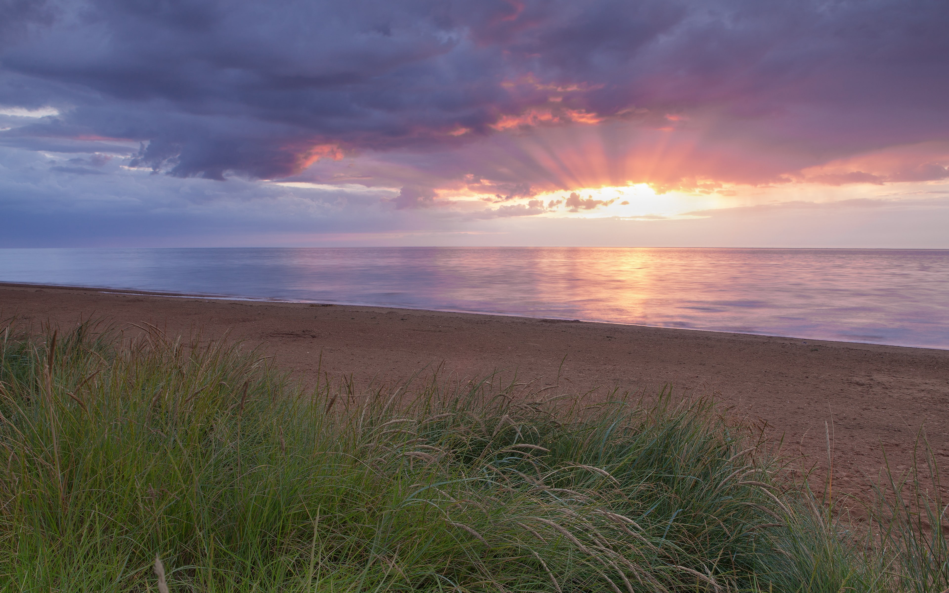 sunset, tranquil scene, sky, marram grass, landscape, non-urban scene, grass, horizon over water, 4K, cloud - sky, tranquility, idyllic, scenics - nature, HD Wallpaper