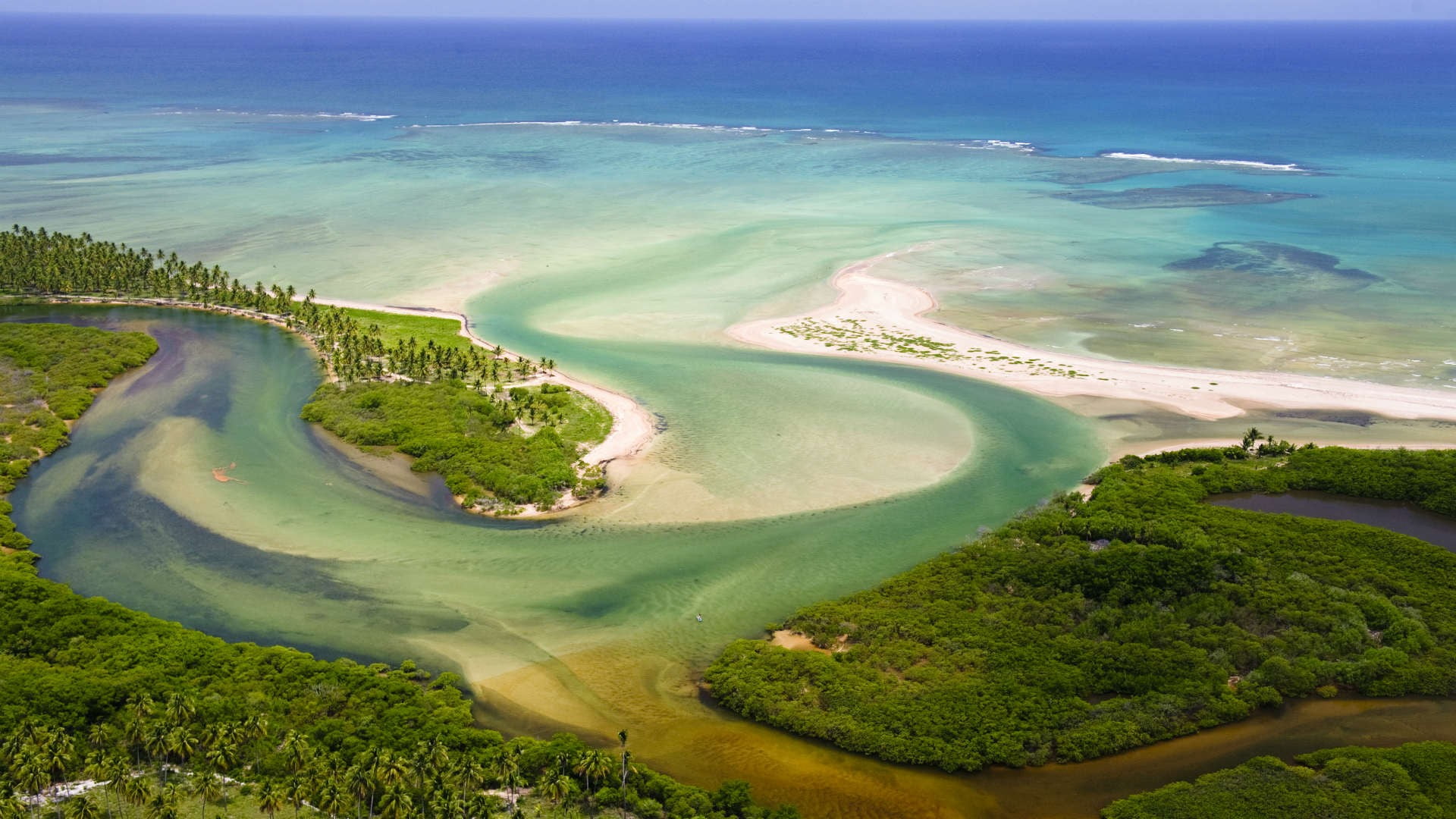 day, land, sea, golf course, near, trees, island, 1080P, aerial view, ocean, no people, high angle view, plant, lagoon, beach, tree, water, beauty in nature, HD Wallpaper