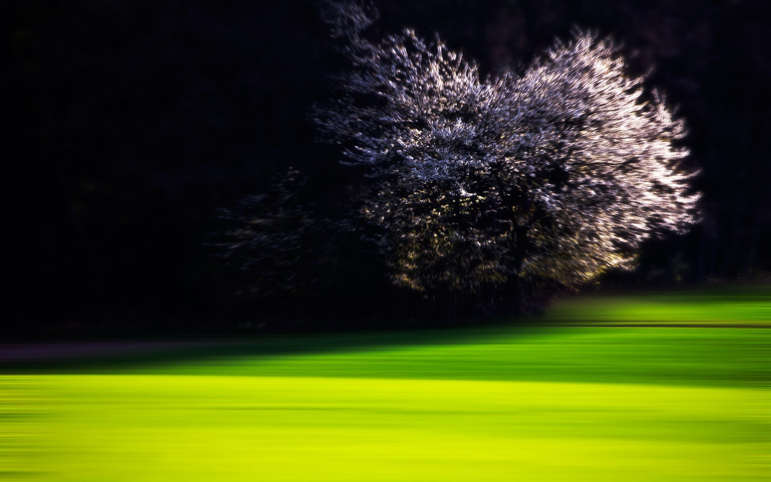 motion, land, leisure activity, night, putting green, sport, plants, golf, beauty in nature, tree, springtime, trees, nature, plant, outdoors, activity, HD Wallpaper