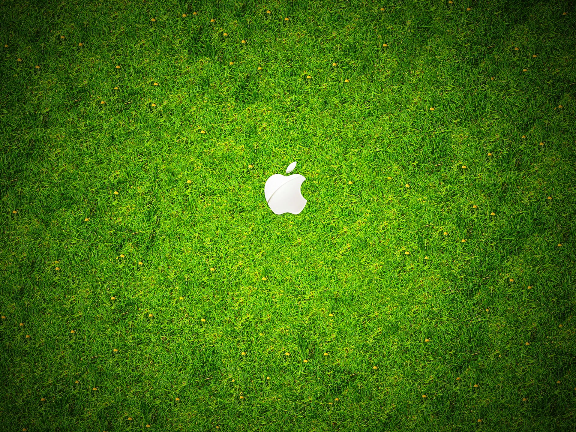 white color, grass, high angle view, plant, field, land, green color, green - golf course, 1080P, Apple, activity, logo, sunlight, Computers, green, freshness, HD Wallpaper