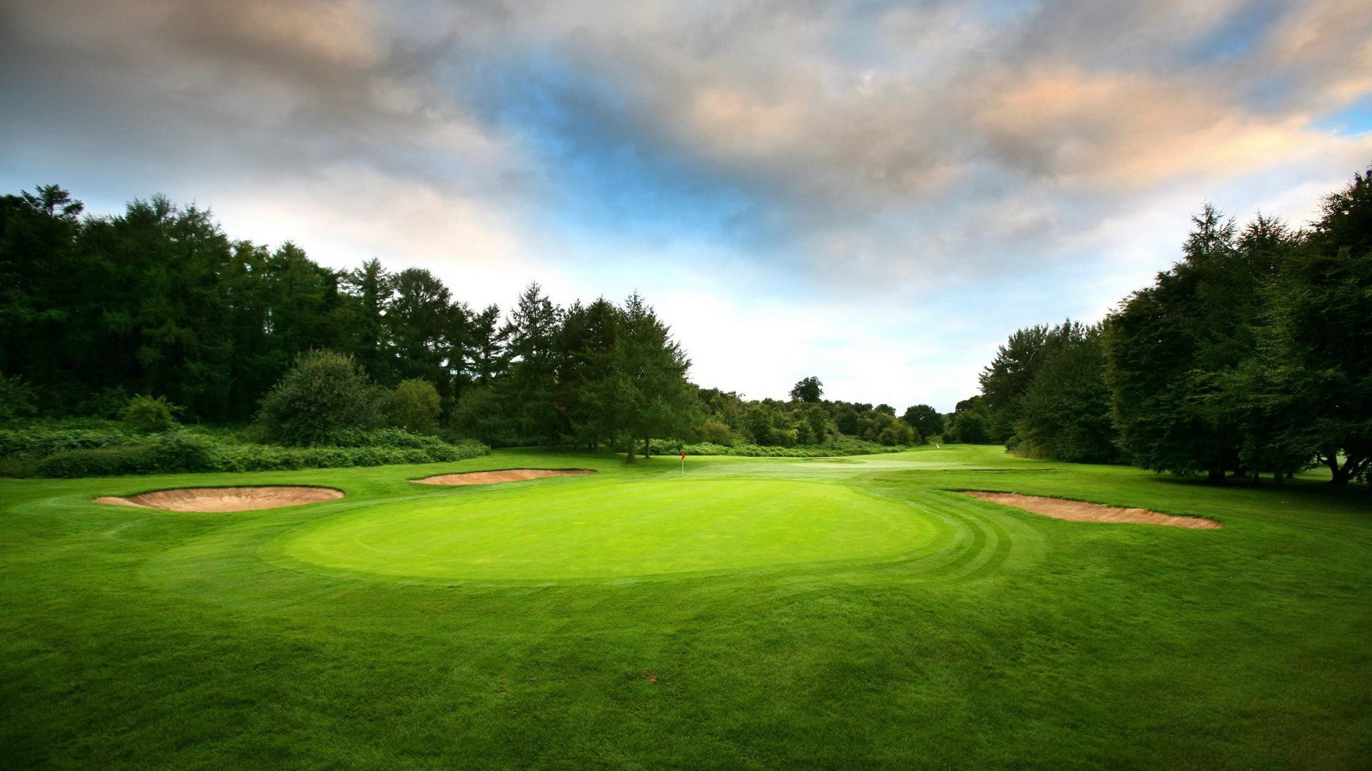 nature  download for desktop 1920x1080, grass, plant, day, tranquil scene, sky, sport, no people, green - golf course, beauty in nature, tranquility, tree, HD Wallpaper