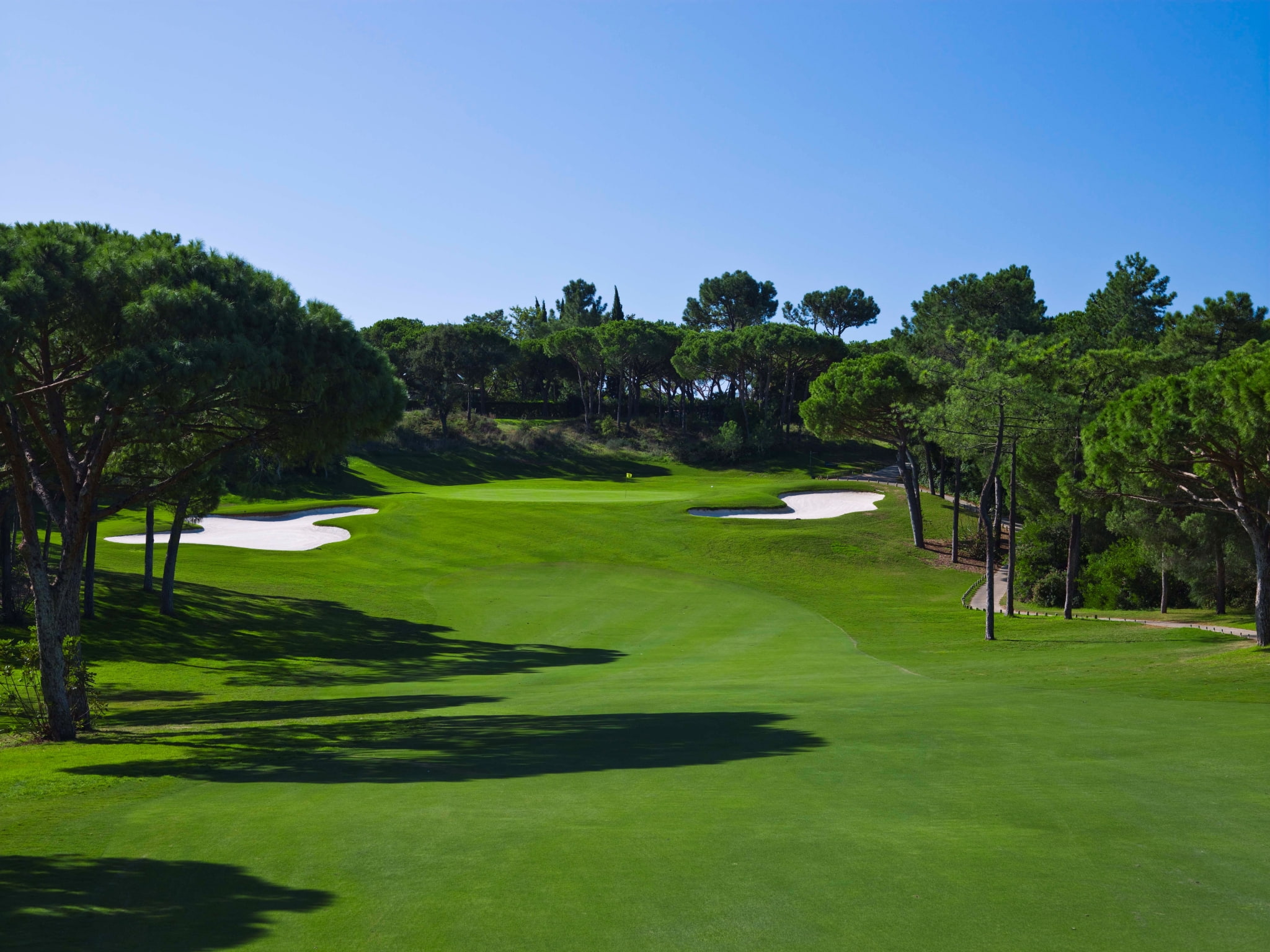 green color, clear sky, tree, beauty in nature, sand trap, nature, sport, golf, outdoors, day, grass, leisure activity, plant, 1080P, no people, golf  high resolution, HD Wallpaper