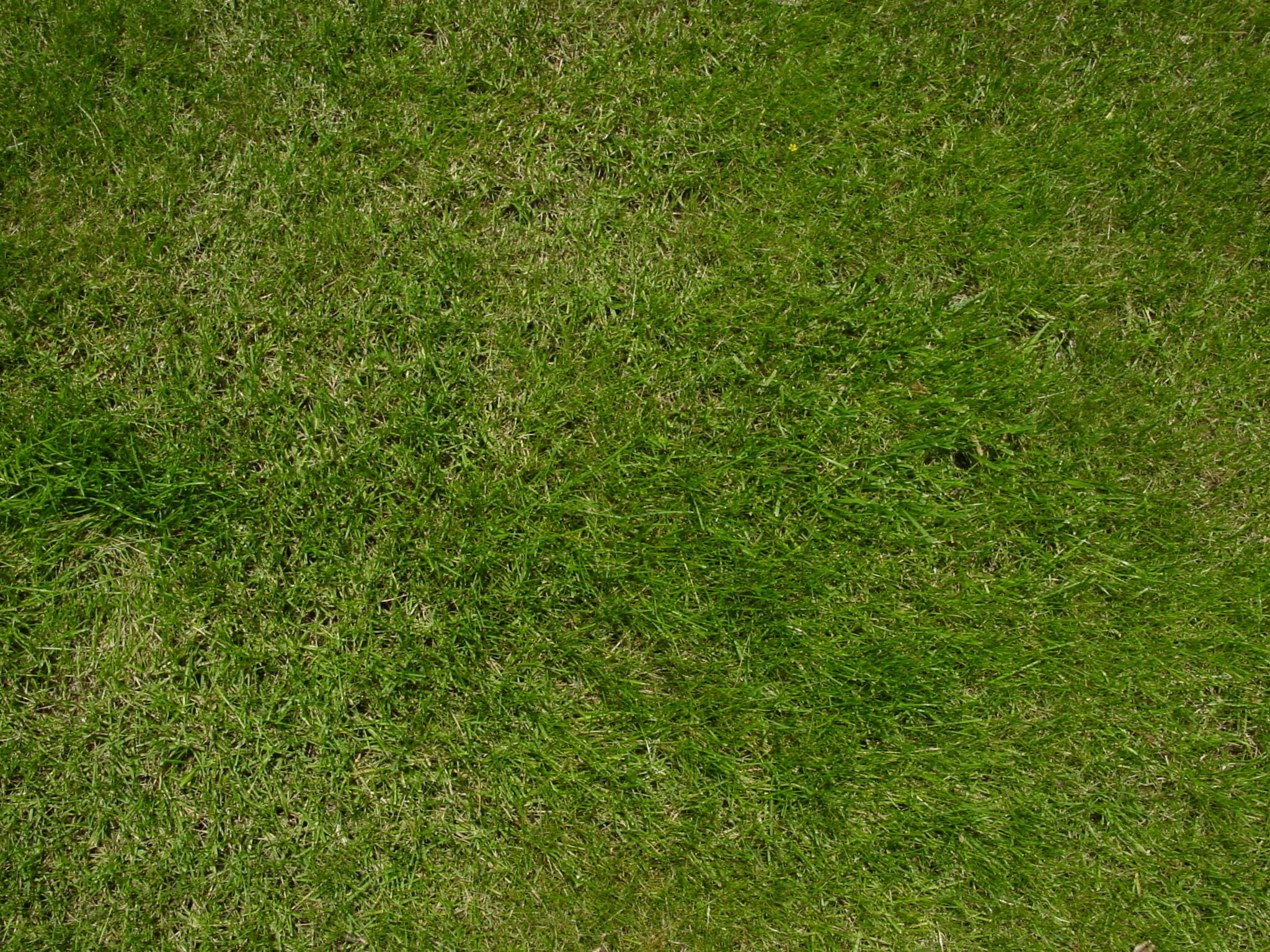 view, field, beauty in nature, outdoors, top, soccer, high angle view, lawn, no people, nature, soccer field, land, green color, texture, day, photo, growth, HD Wallpaper