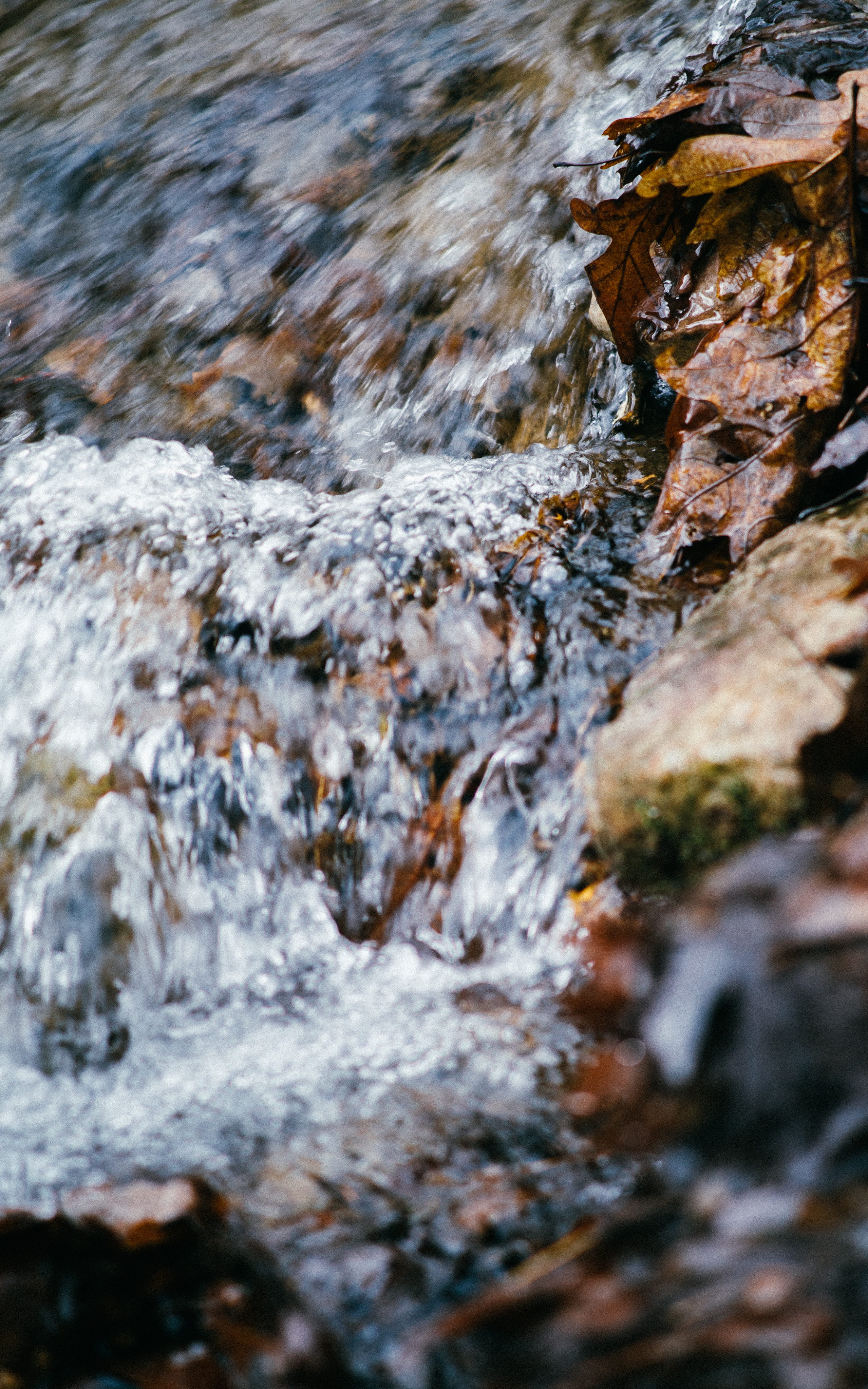 nature, blue, rock, lake, leaves, watauga lake, close-up, 4K, day, selective focus, forest, flowing water, rock formation, speed, calm, running water, Phone HD Wallpaper