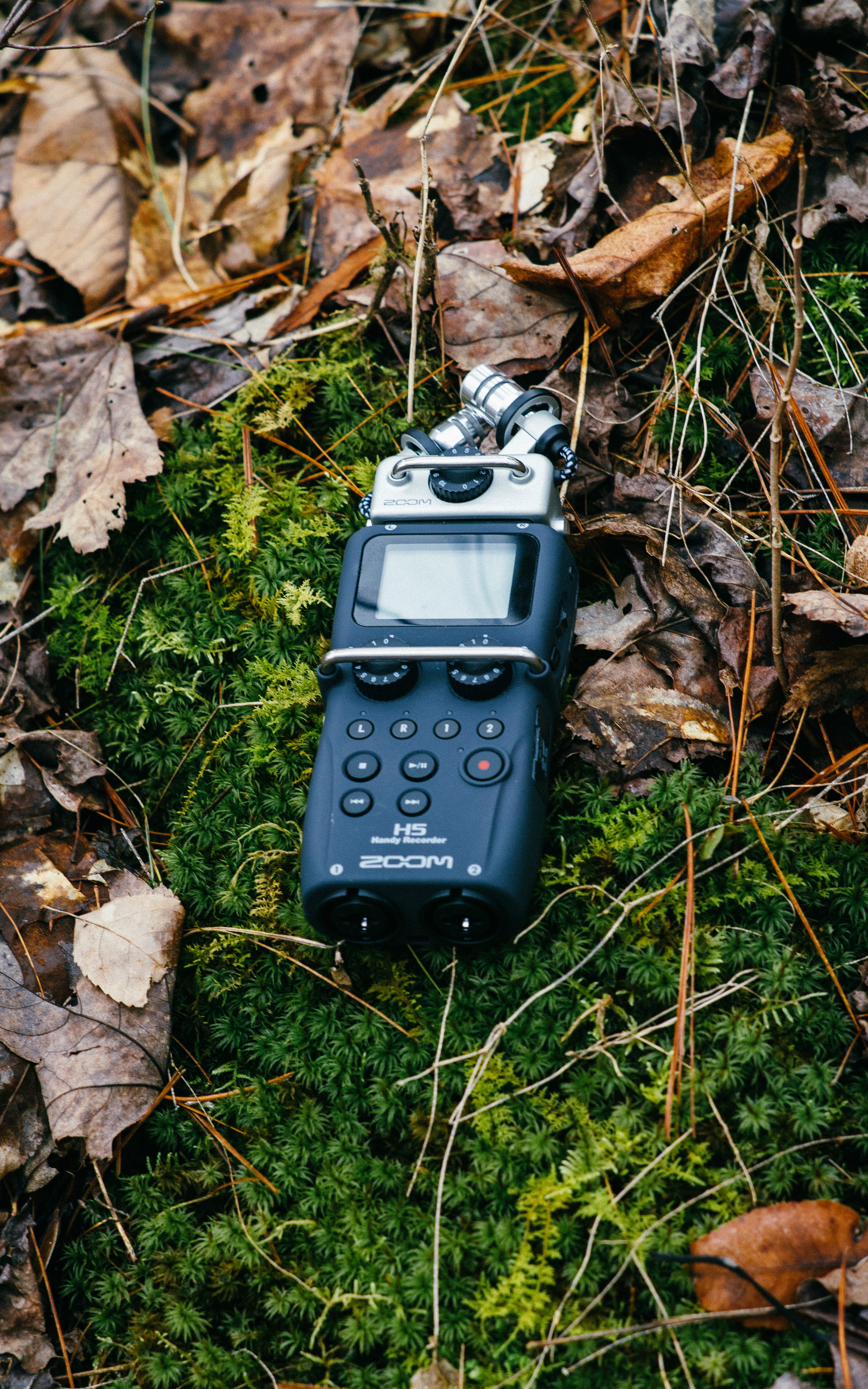 no people, united states, day, plant part, communication, green color, nature, growth, leaf, outdoors, rain, 4K, watauga lake, ground, field, technology, Phone HD Wallpaper