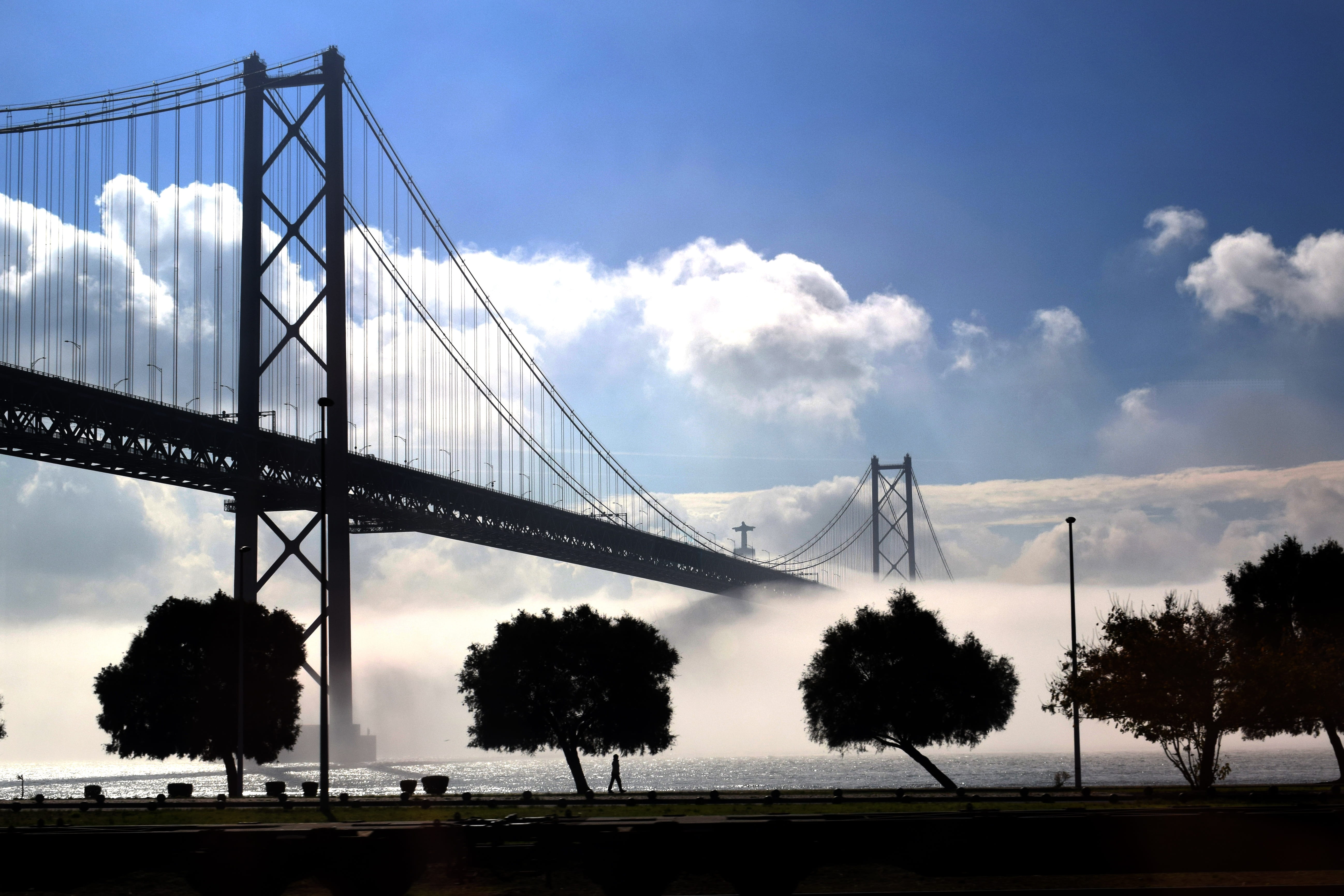 low angle view, river tagus, mist, river, built structure, engineering, ponte 25 de abril, bridge, trees, lisbon, plant, connection, tourism, outdoors, HD Wallpaper