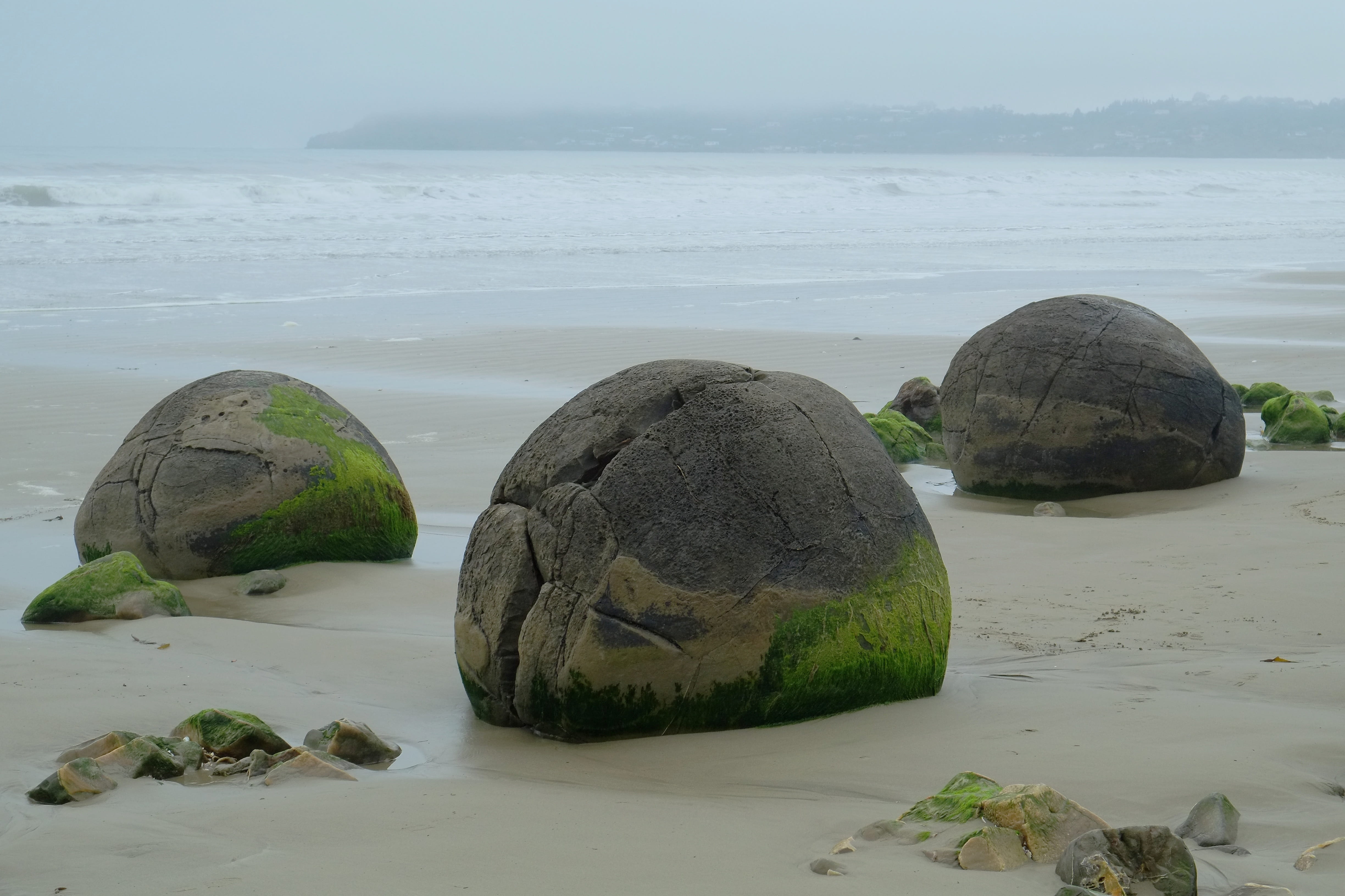 Moeraki, solid, coast, ocean, plant, rocks, coastal, coastline, water, seashore, koekohe beach, Boulders, seascape, concrete, beauty in nature, stone, Sea, HD Wallpaper