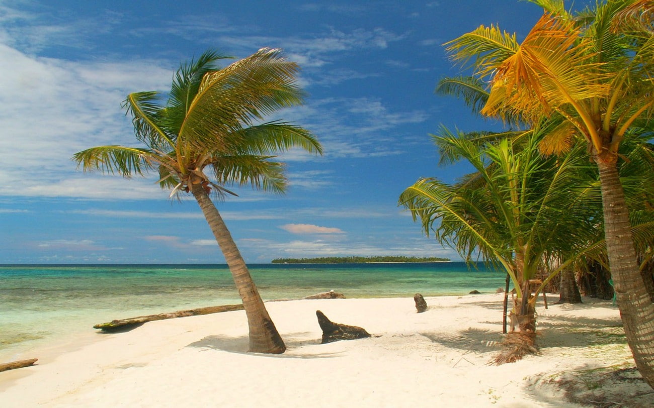 Mexico, beauty in nature, tropical, horizon over water, white, photography, tropical tree, tranquil scene, water, outdoors, beach, growth, no people, sky, HD Wallpaper