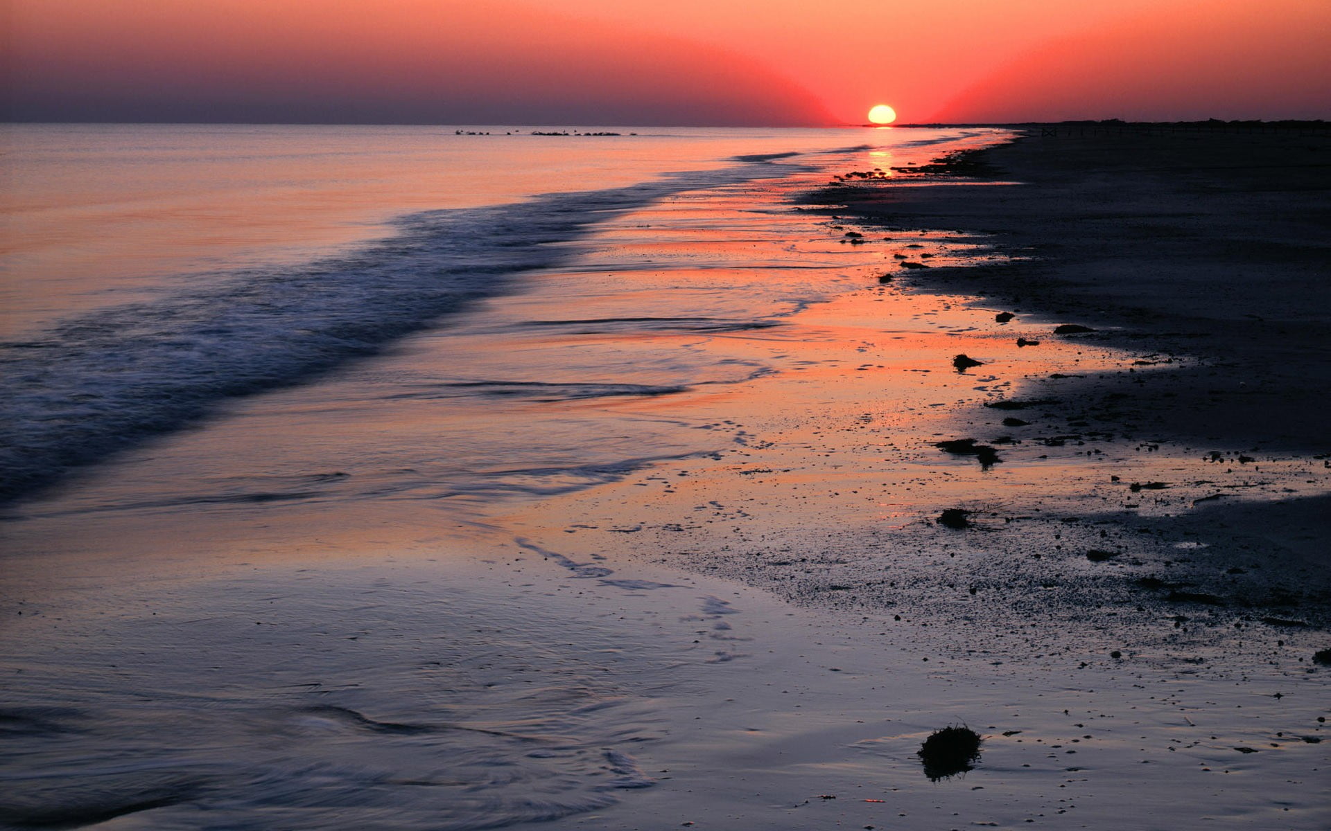sunlight, horizon over water, briny, scenics - nature, sunset, sand, dusk, water, body, low tide, horizon, sea, outdoors, tranquil scene, beauty in nature, HD Wallpaper