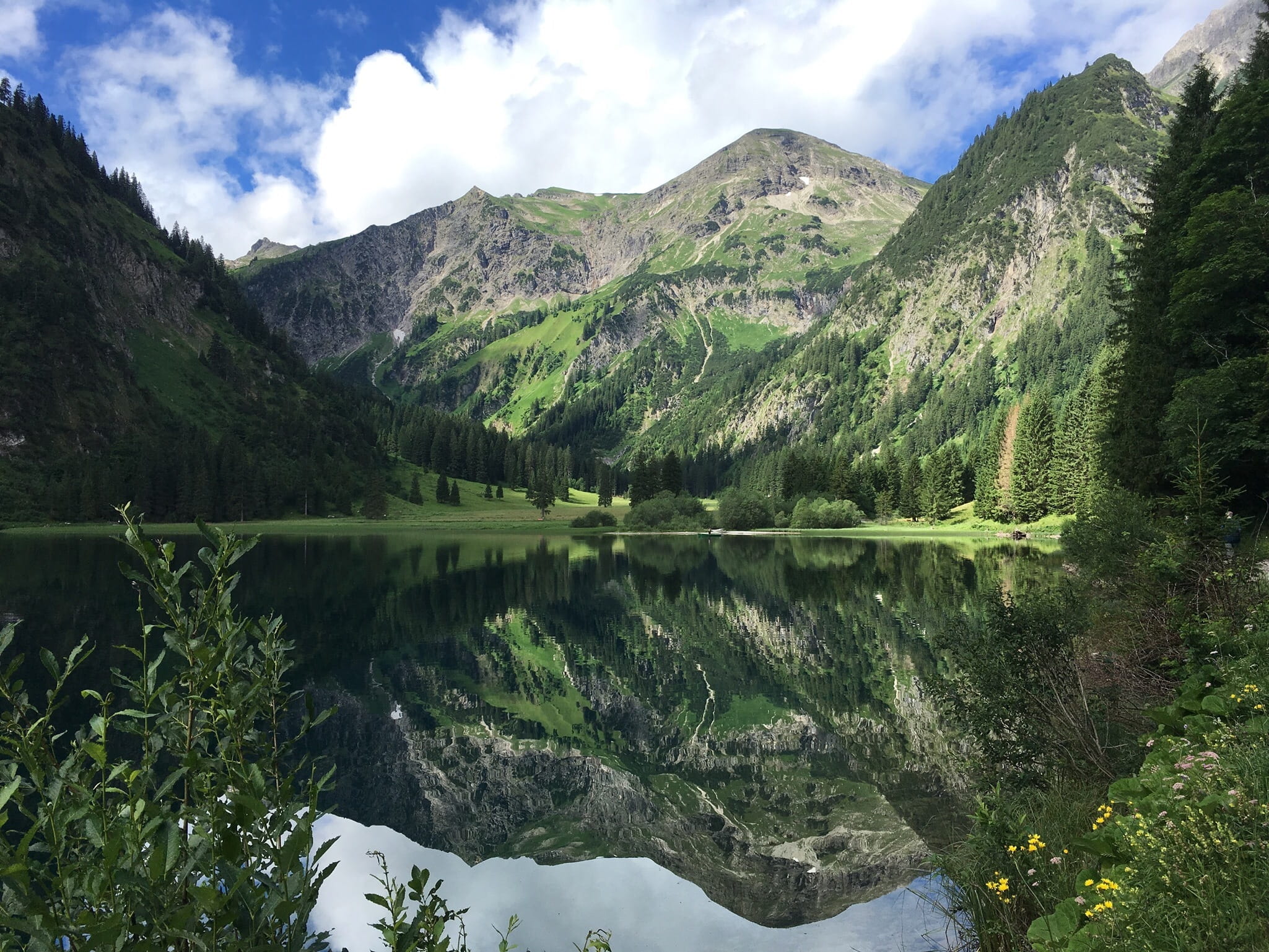 scenics, reflection, lake, plant, austria, Bergsee, scenics - nature, outdoors, mountain range, forest, idyllic, non-urban scene, day, nature, tranquil scene, HD Wallpaper