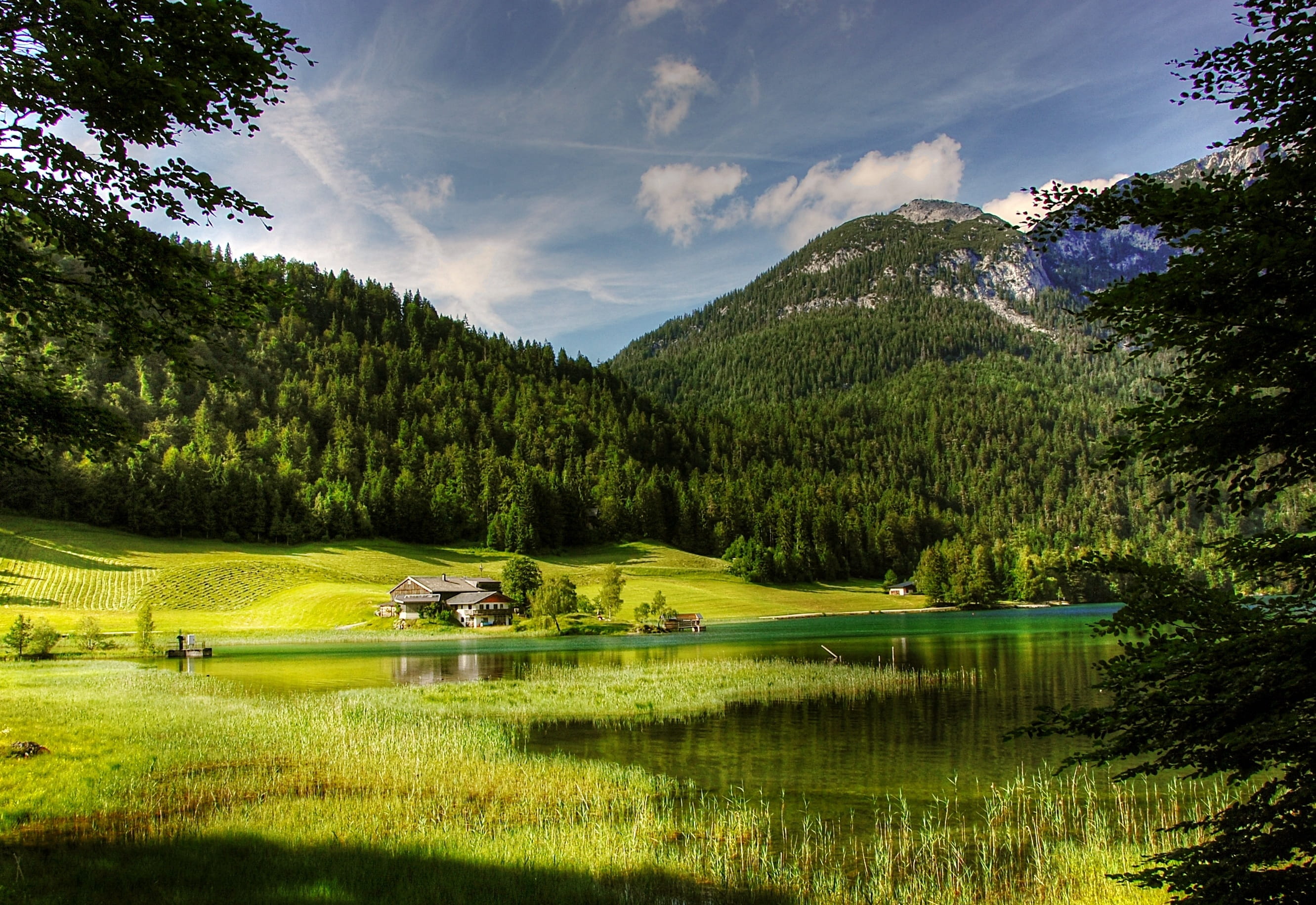holiday, nature, mountain, reflection, hike, pine tree, coniferous tree, environment, view, mountain range, tyrolean alps, tannheim, Landscape, Water, beauty in nature, HD Wallpaper