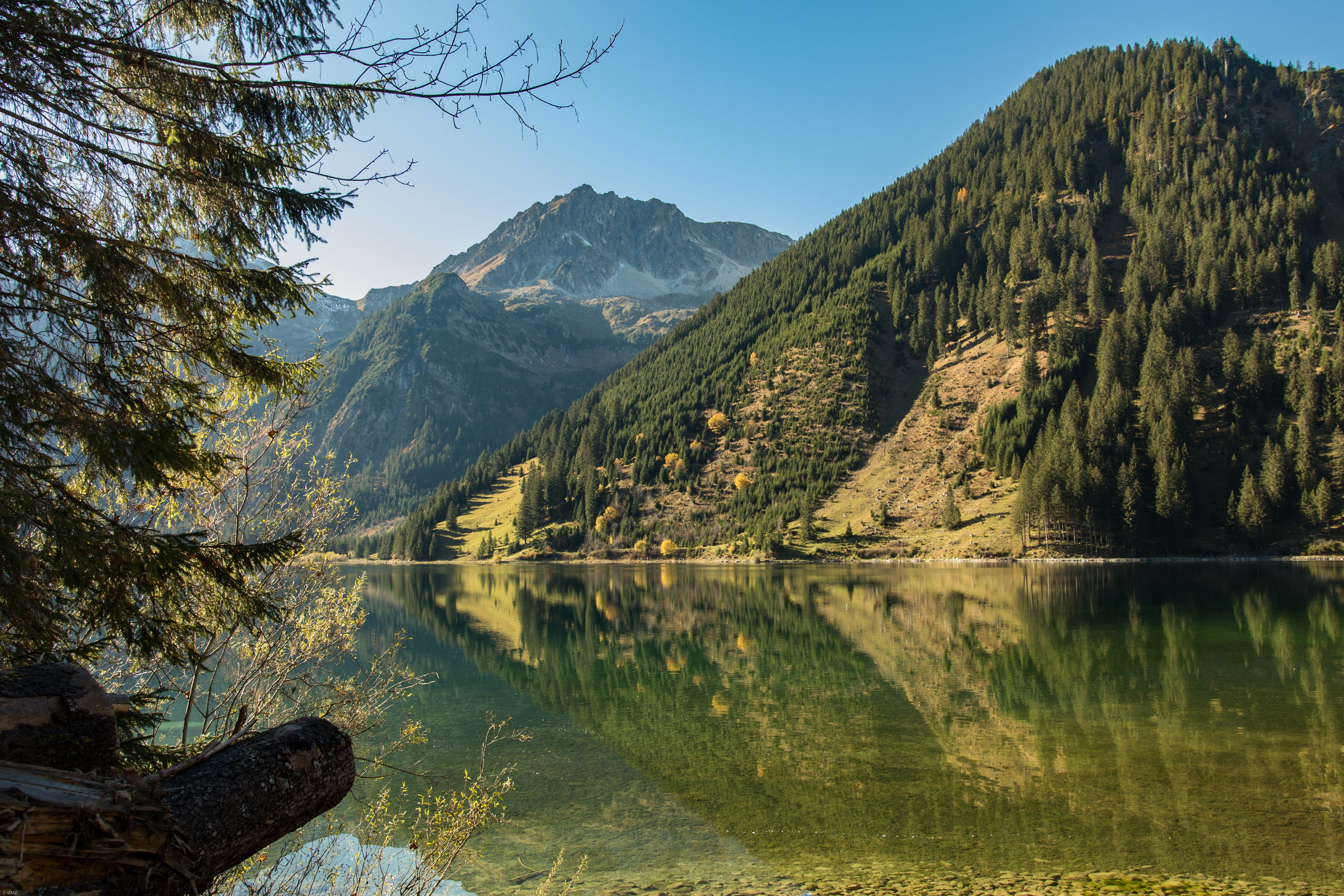 beauty in nature, vilsalpseeberge, near, 5K, trees, mountain range, travel destinations, tranquil scene, reflection, no people, tannheim, land, reflection lake, HD Wallpaper