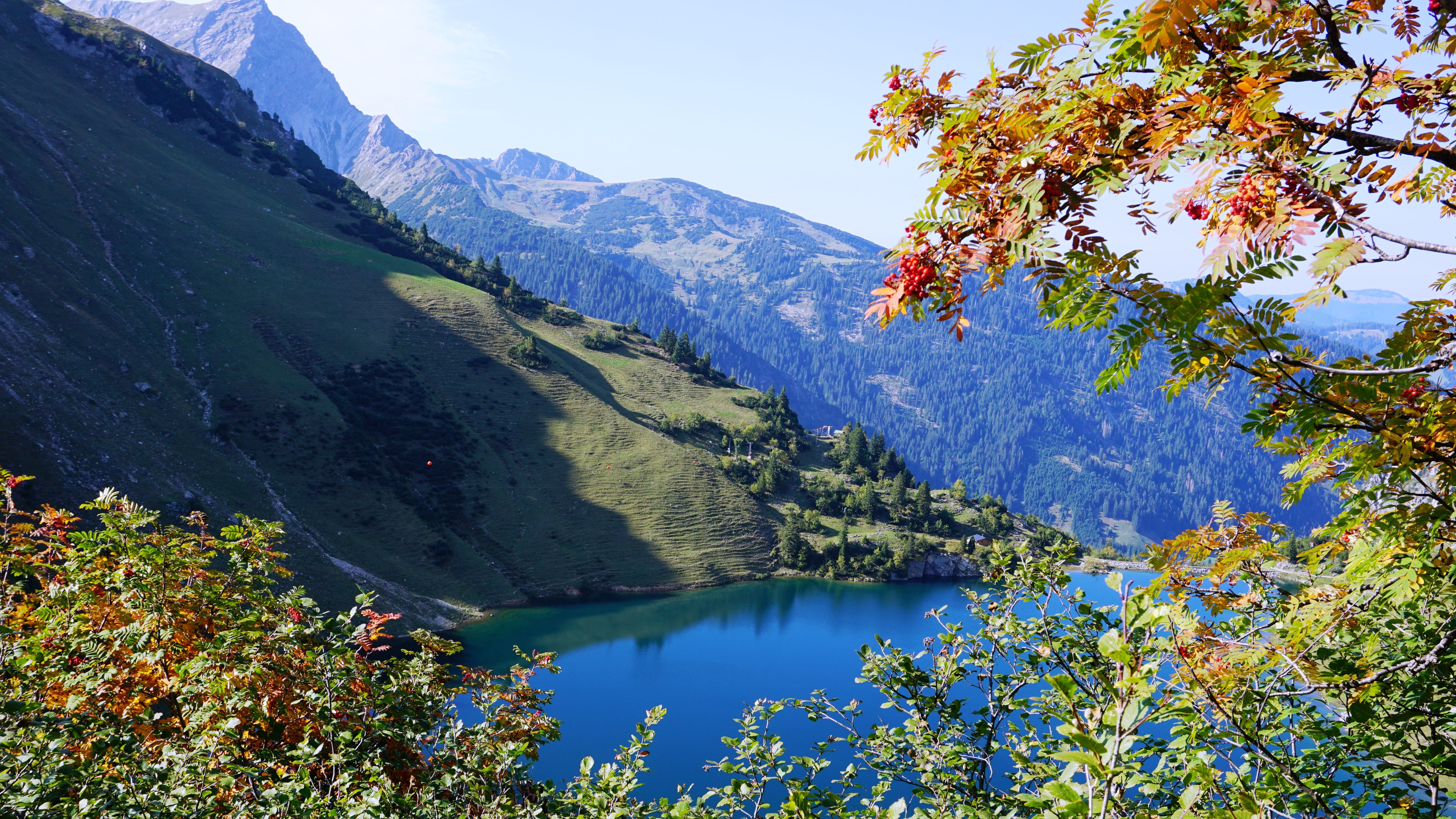 mountains, non-urban scene, tree, nature, sky, mountain, idyllic, rowan, 5K, day, no people, coniferous tree, september, mountain hike, beauty in nature, HD Wallpaper
