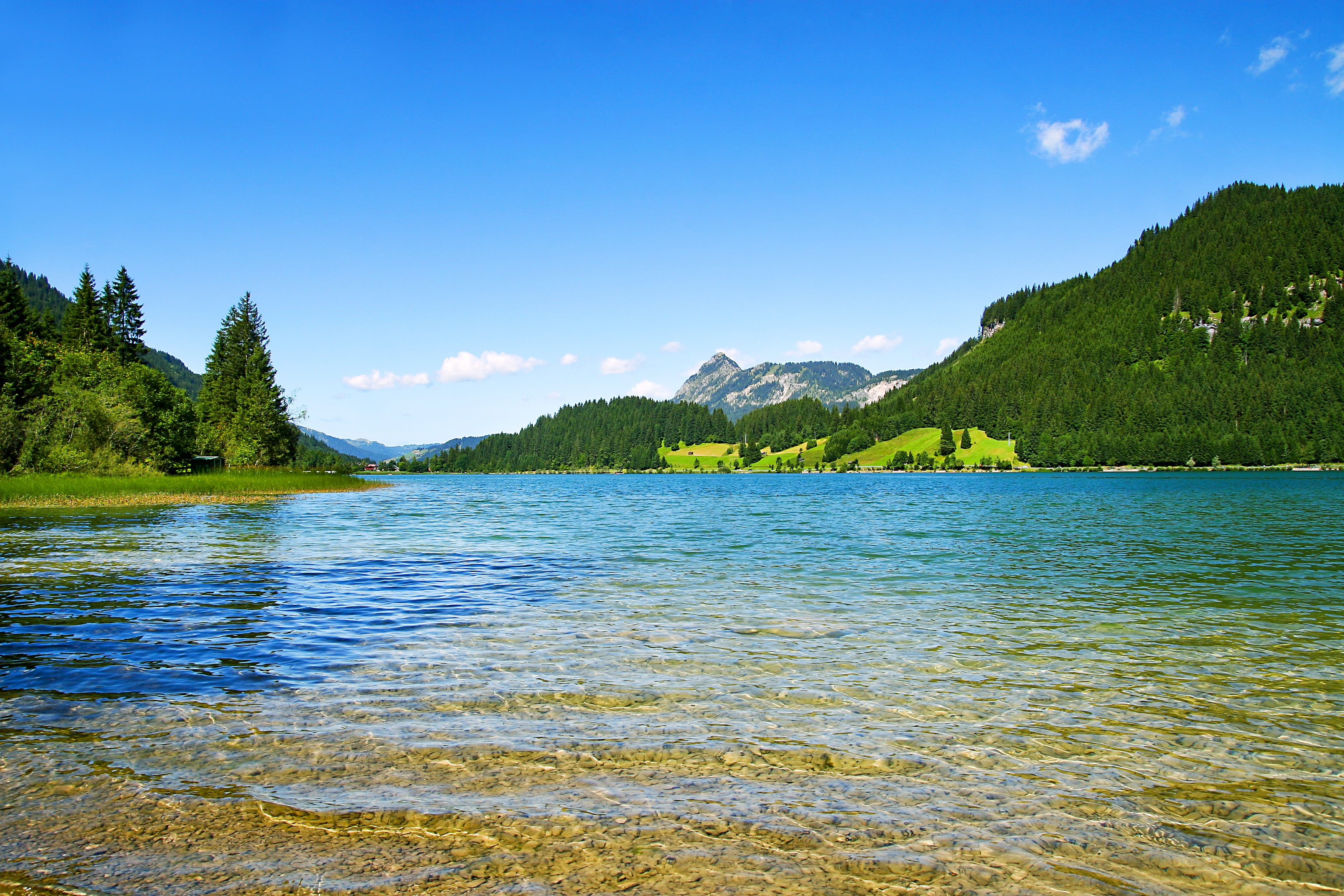 idyllic, lake, plant, blue, forest, cloud - sky, landscape, in the, outdoors, mountain, austria, tannheim, mountains, nature, sea, tyrol, rest, scenics - nature, HD Wallpaper