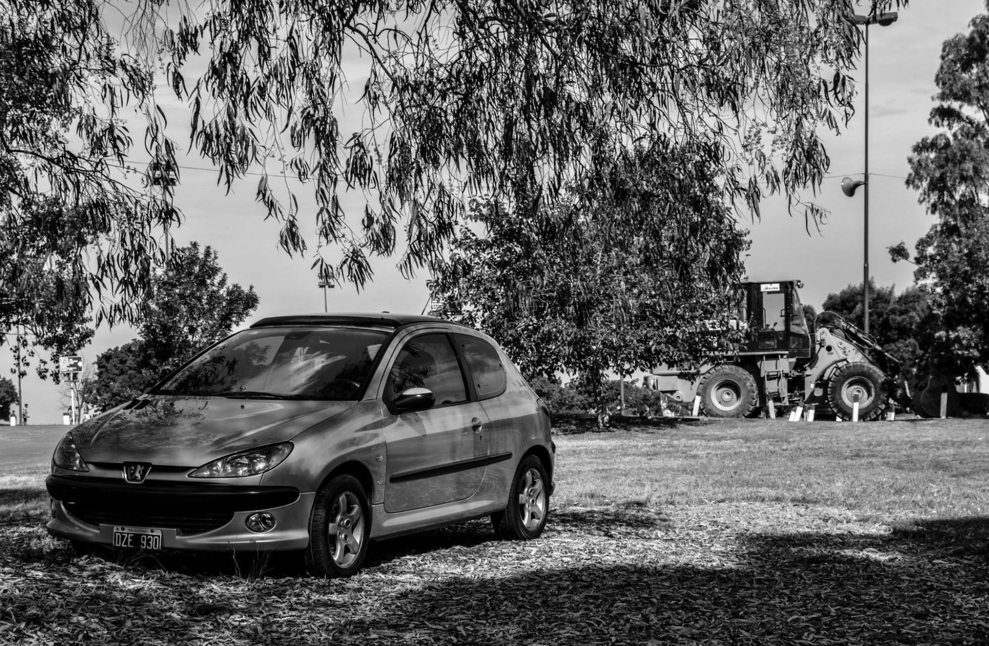 Cars/Peugeot, tree, field, growth, retro styled, 1080P, stationary, motor vehicle, nature, city, car, transportation, Black and White, plant, peugeot, HD Wallpaper