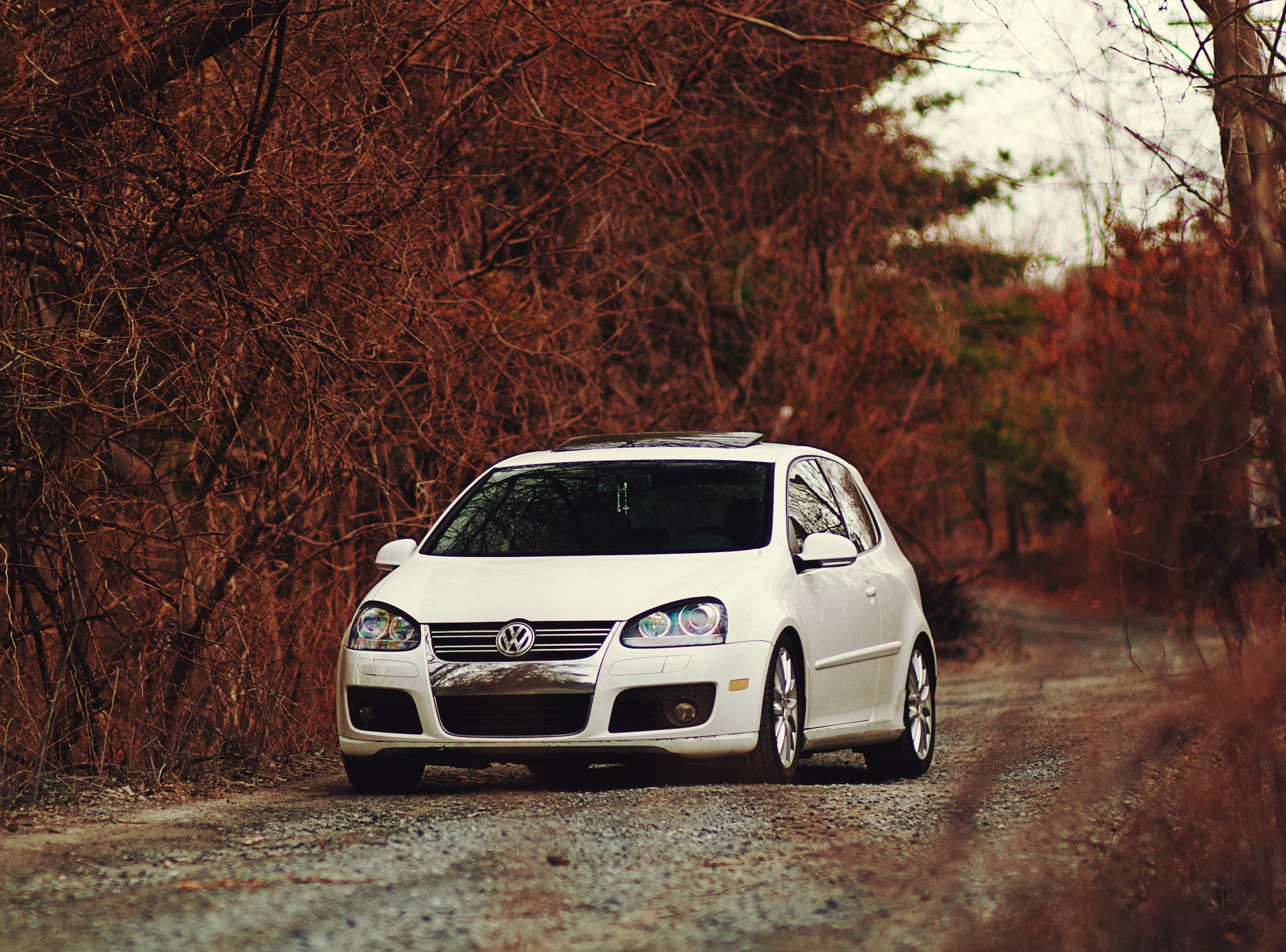 vintage car, outdoors, white, vw, Volkswagen, trunk, no people, stationary, hatchback, plant, 2K, car, Golf, day, forest, tree trunk, Autumn, gti, change, HD Wallpaper