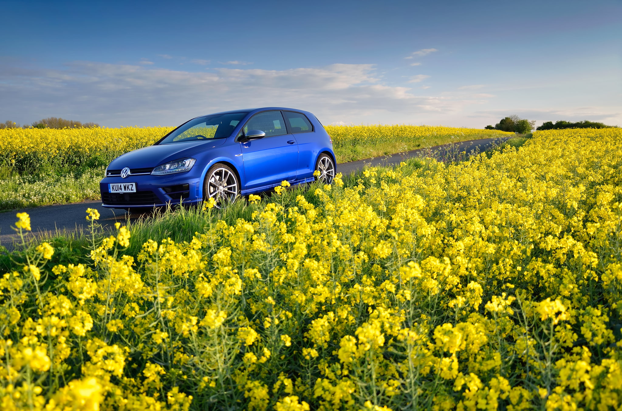 1080P, Mk7, flowers, Golf R, Volkswagen, field, yellow, blue, HD Wallpaper