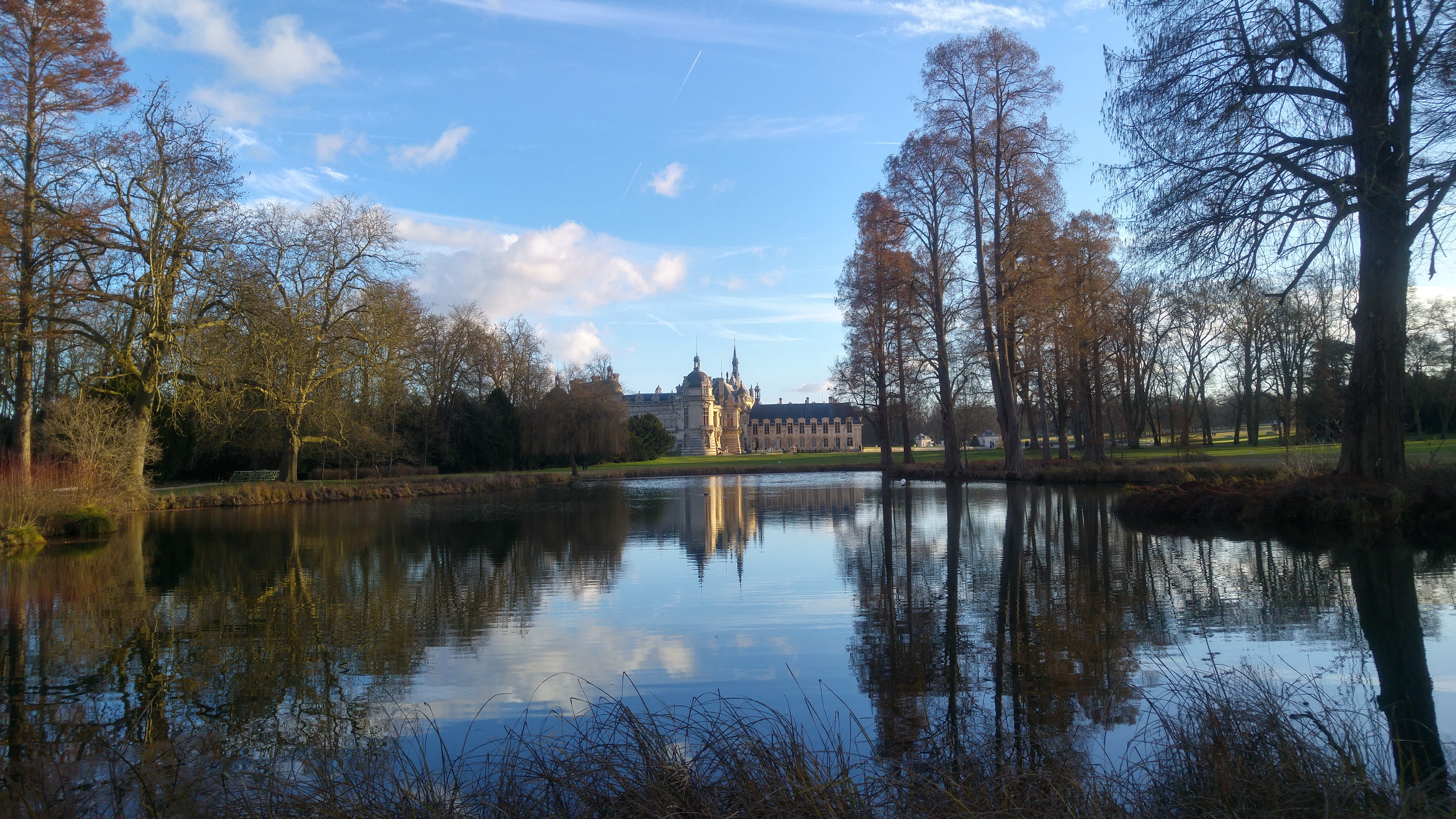 traditional, historical, tree, renaissance, house, day, cloud - sky, outdoor, plant, moat, no people, park, europe, lake, mansion, chantilly, tranquility, HD Wallpaper