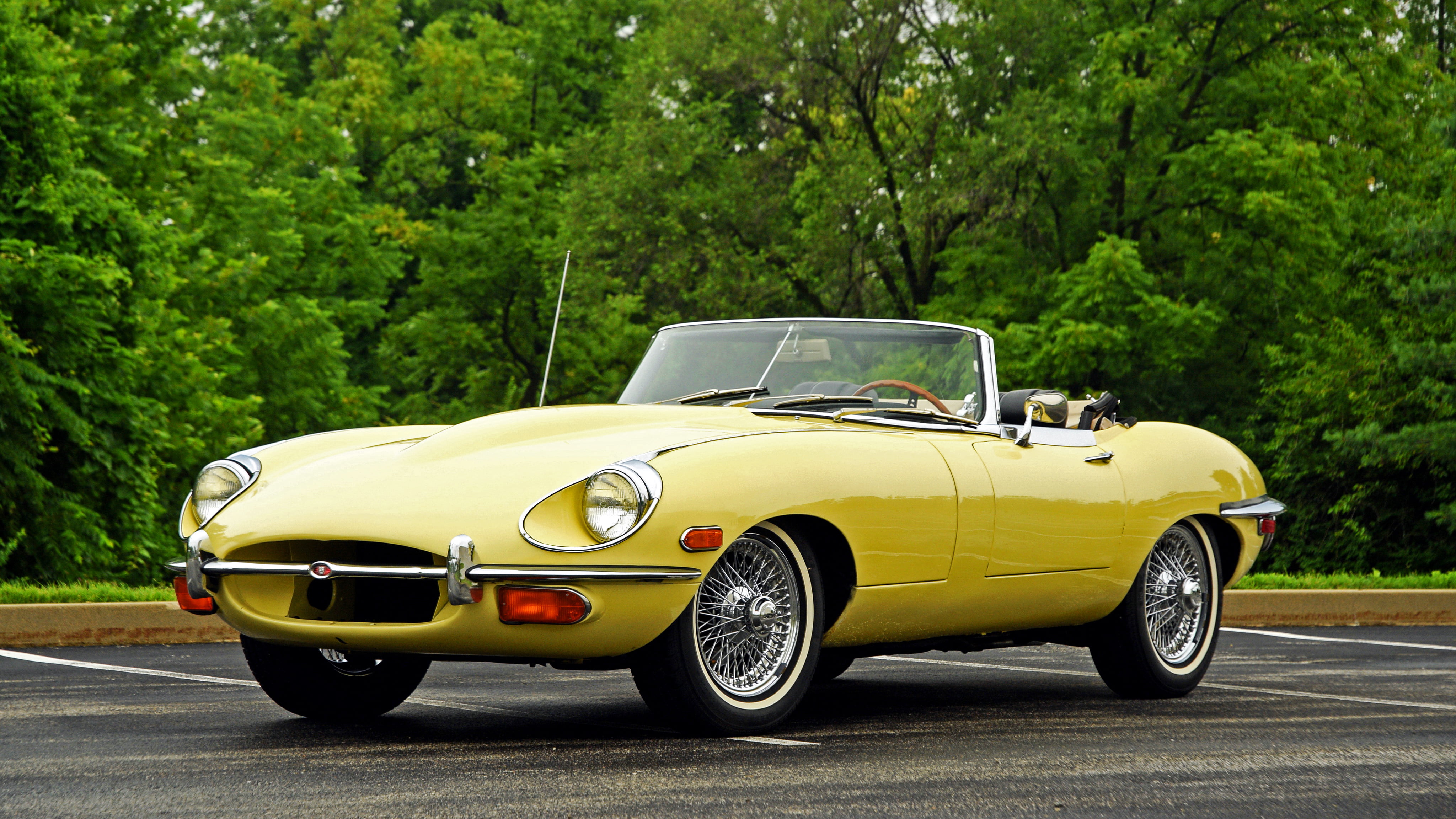 4K, outdoors, antique, car, vintage, front View, old, convertible, wheel, elegance, nature, coupe, tree, vintage Car, motor Vehicle, status Car, summer, HD Wallpaper