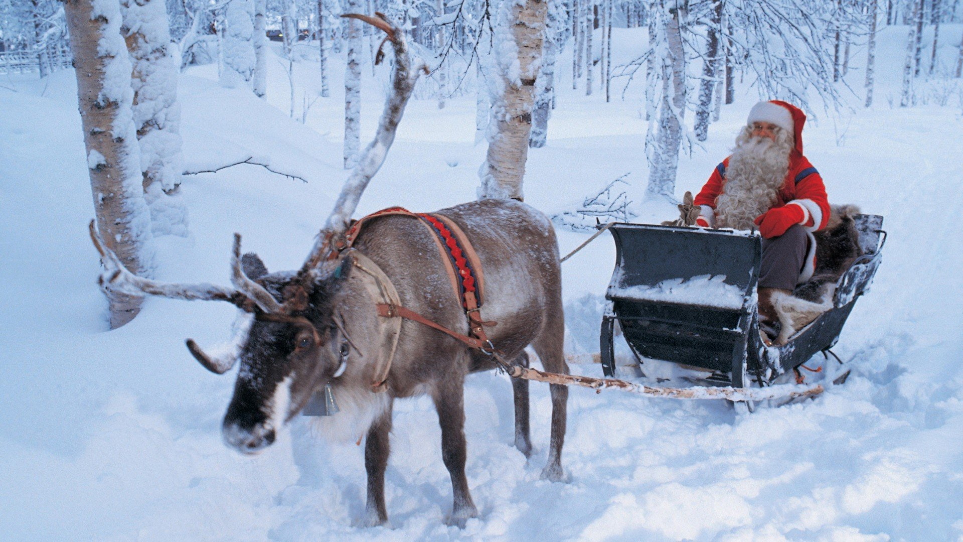 ride, santa, finland, claus, 1080P, lapland, HD Wallpaper