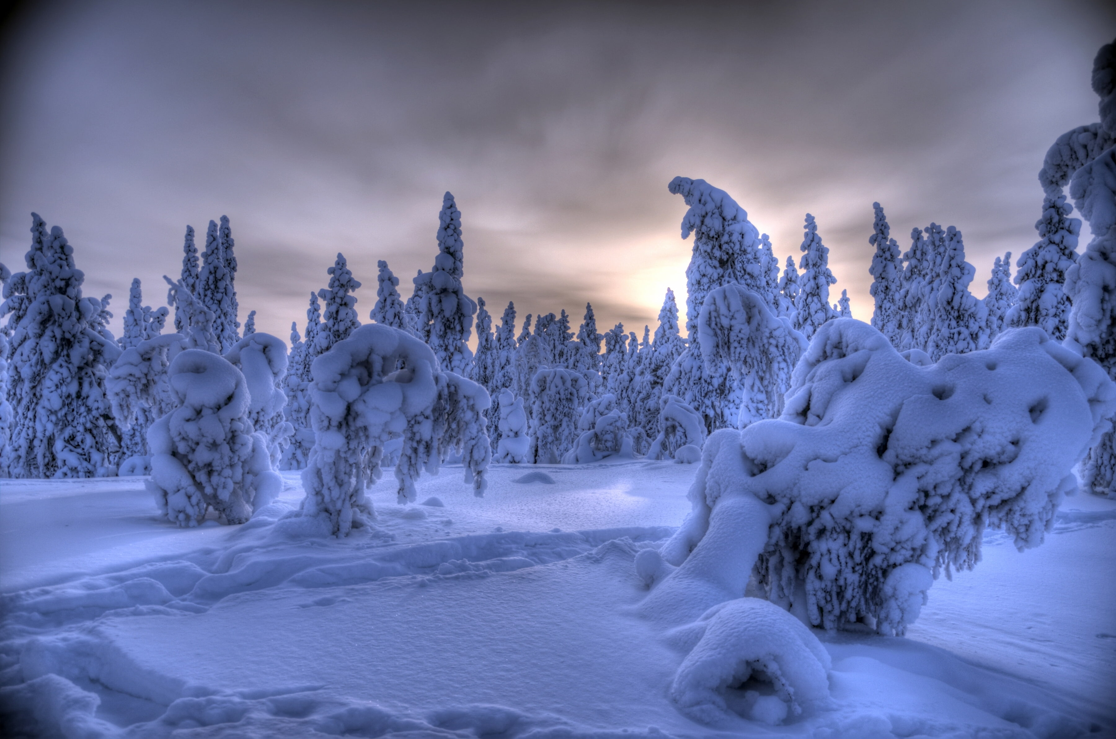 winter, Akaslompolo, Ylläs, snow, Lapland, forest, 2K, Äkäslompolo, Finland, trees, HD Wallpaper