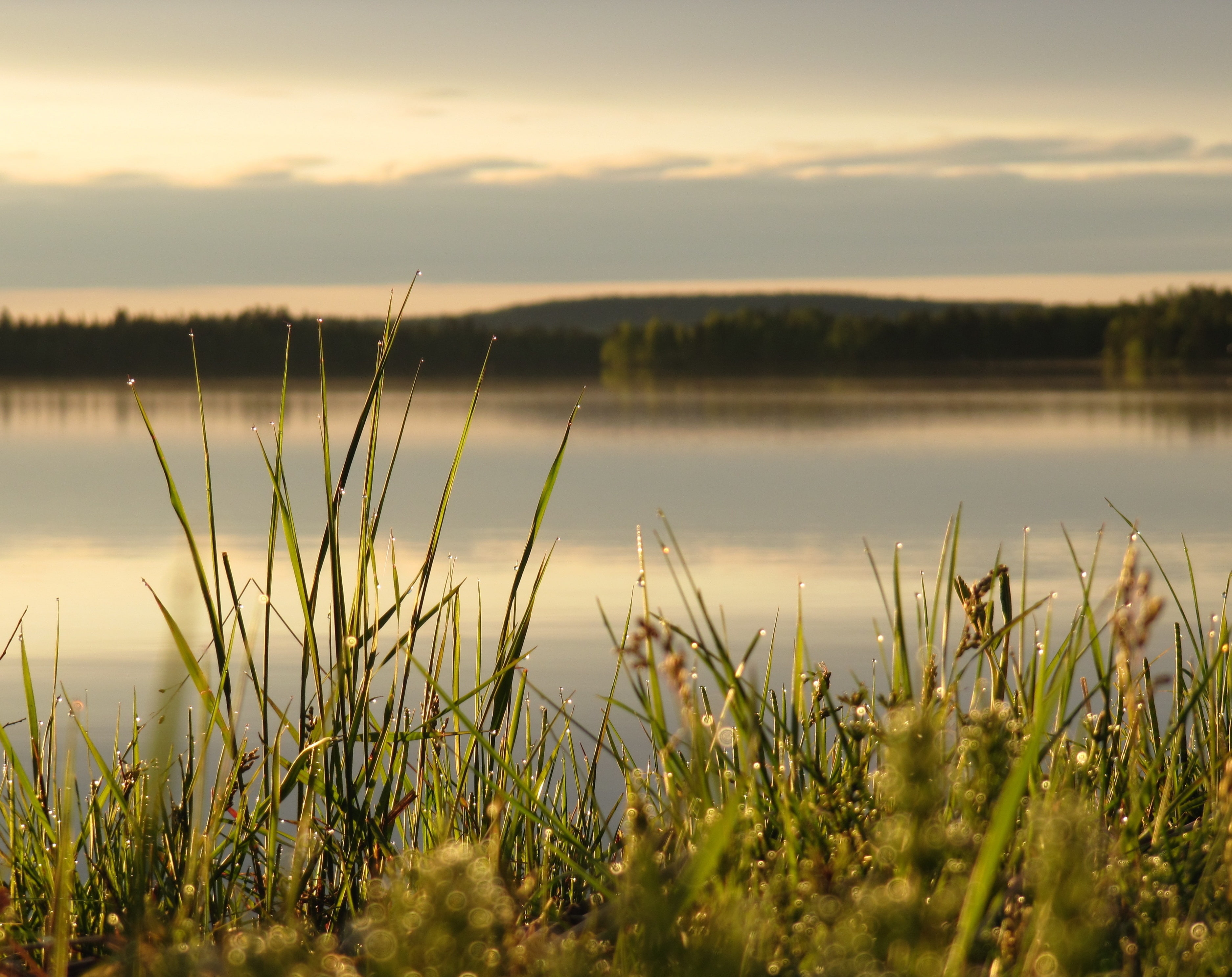 digital, grass, land, Nature, non-urban scene, growth, green color, midsummer, lapland, sky, plant, cloud - sky, sunset, 2K, tranquil scene, HD Wallpaper