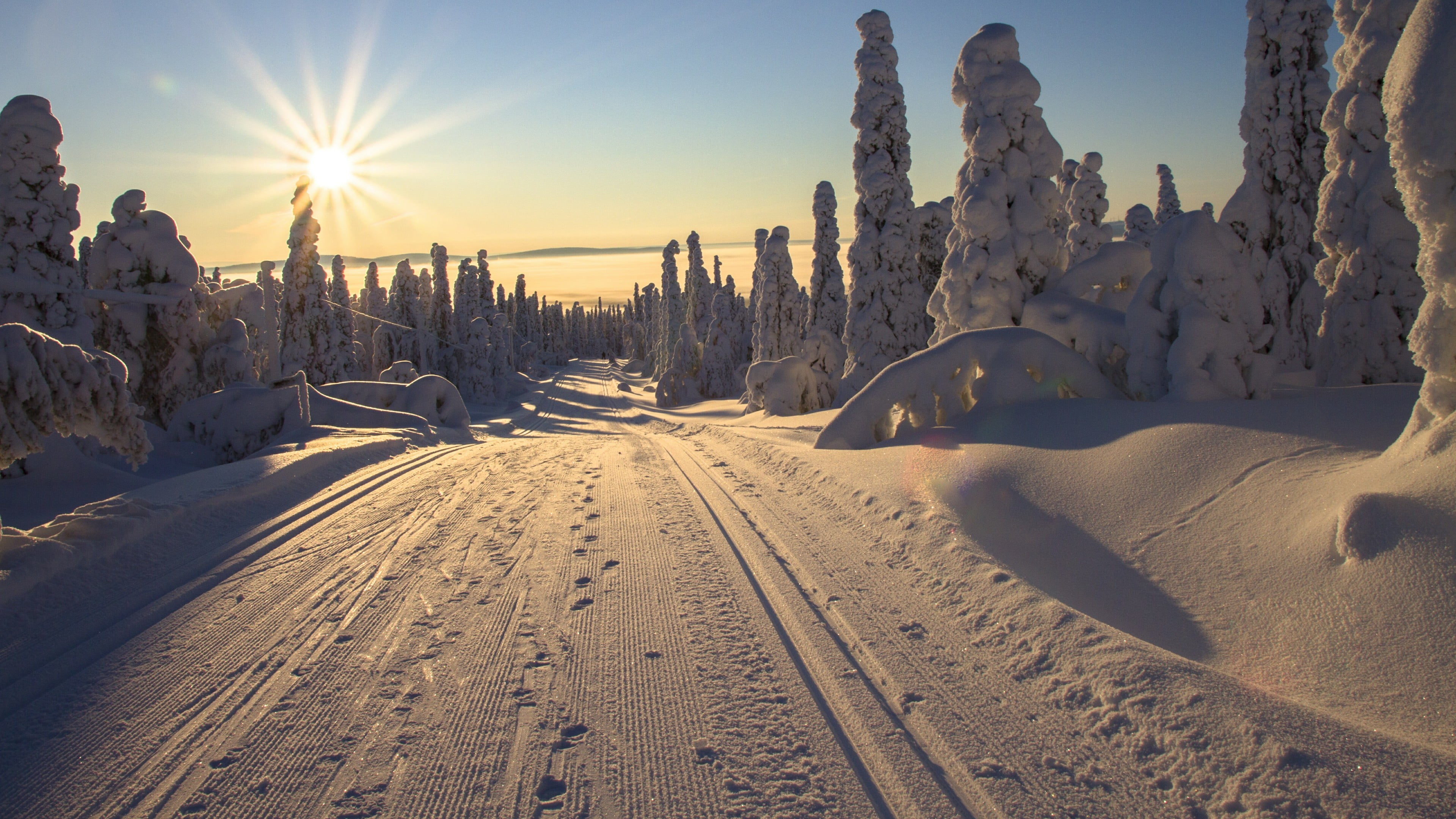 snow, winter wonderland, 4K, ice, no people, landscape, plant, land, horizon, nature, sun, snowy, tranquility, lens flare, environment, snowcapped mountain, HD Wallpaper