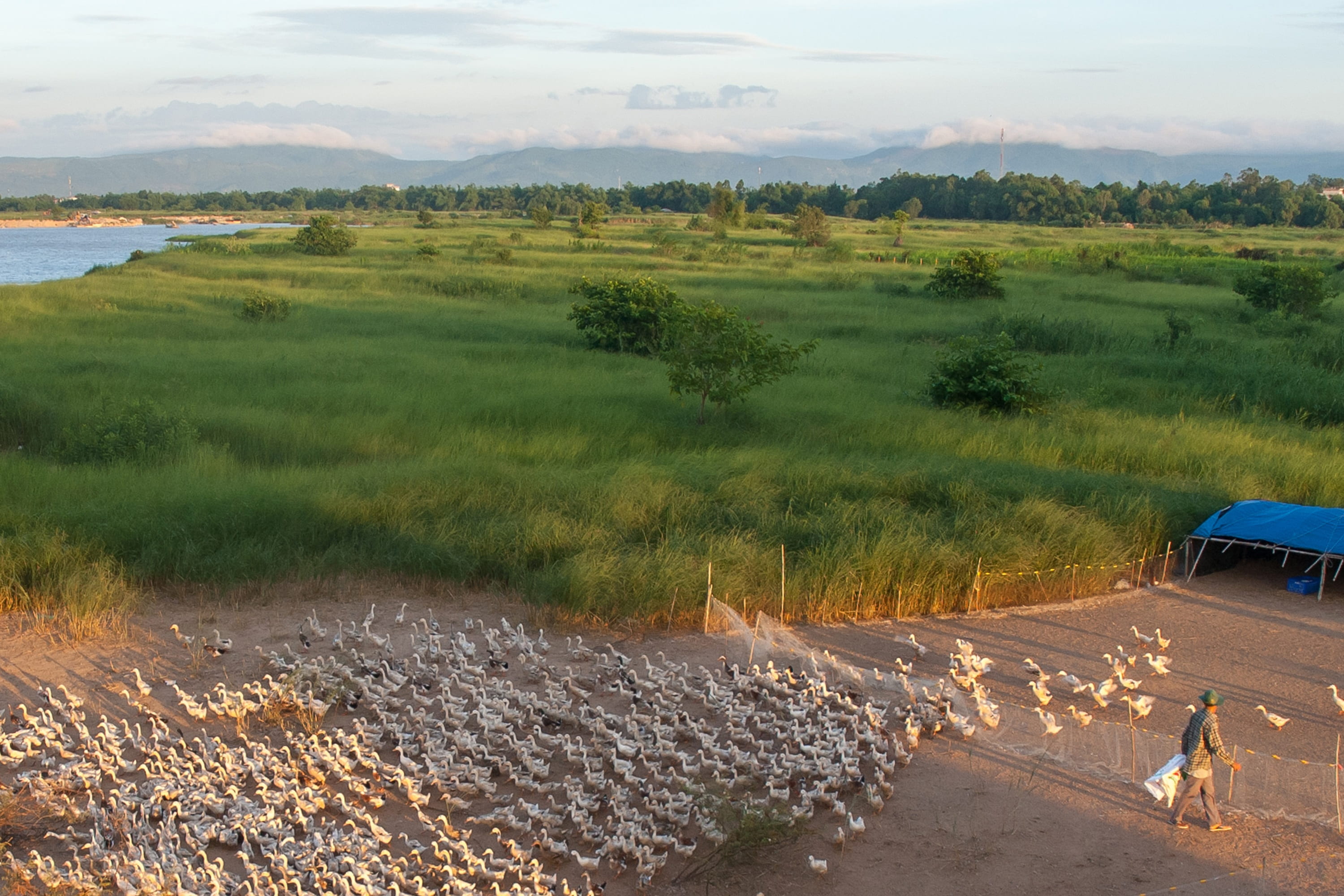 scenics - nature, non-urban scene, mode of transportation, cloud - sky, day, field, transportation, river that, phu yen, men, one person, outdoors, sky, HD Wallpaper