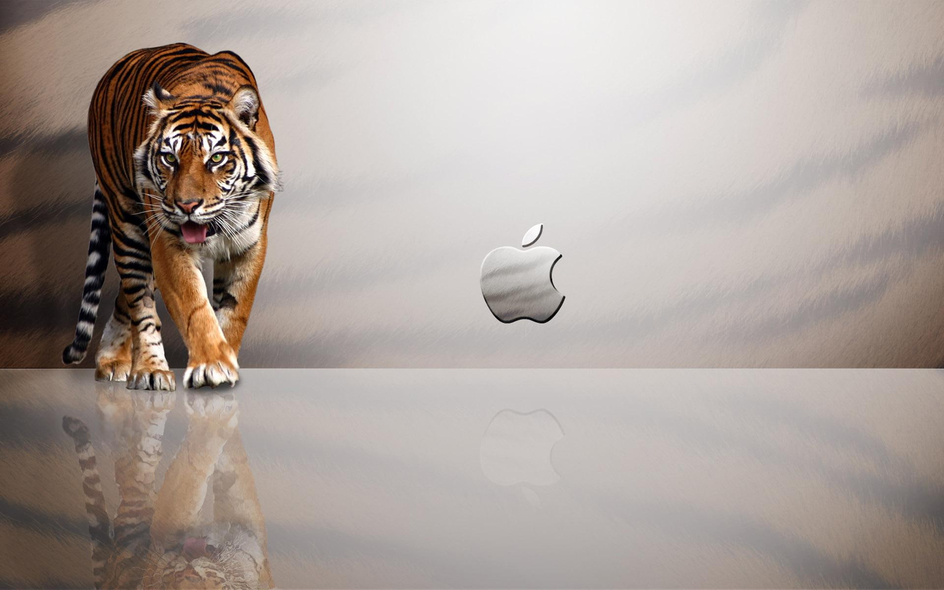 1080P, brand, apple, mac, photo, d, logo, tiger, HD Wallpaper