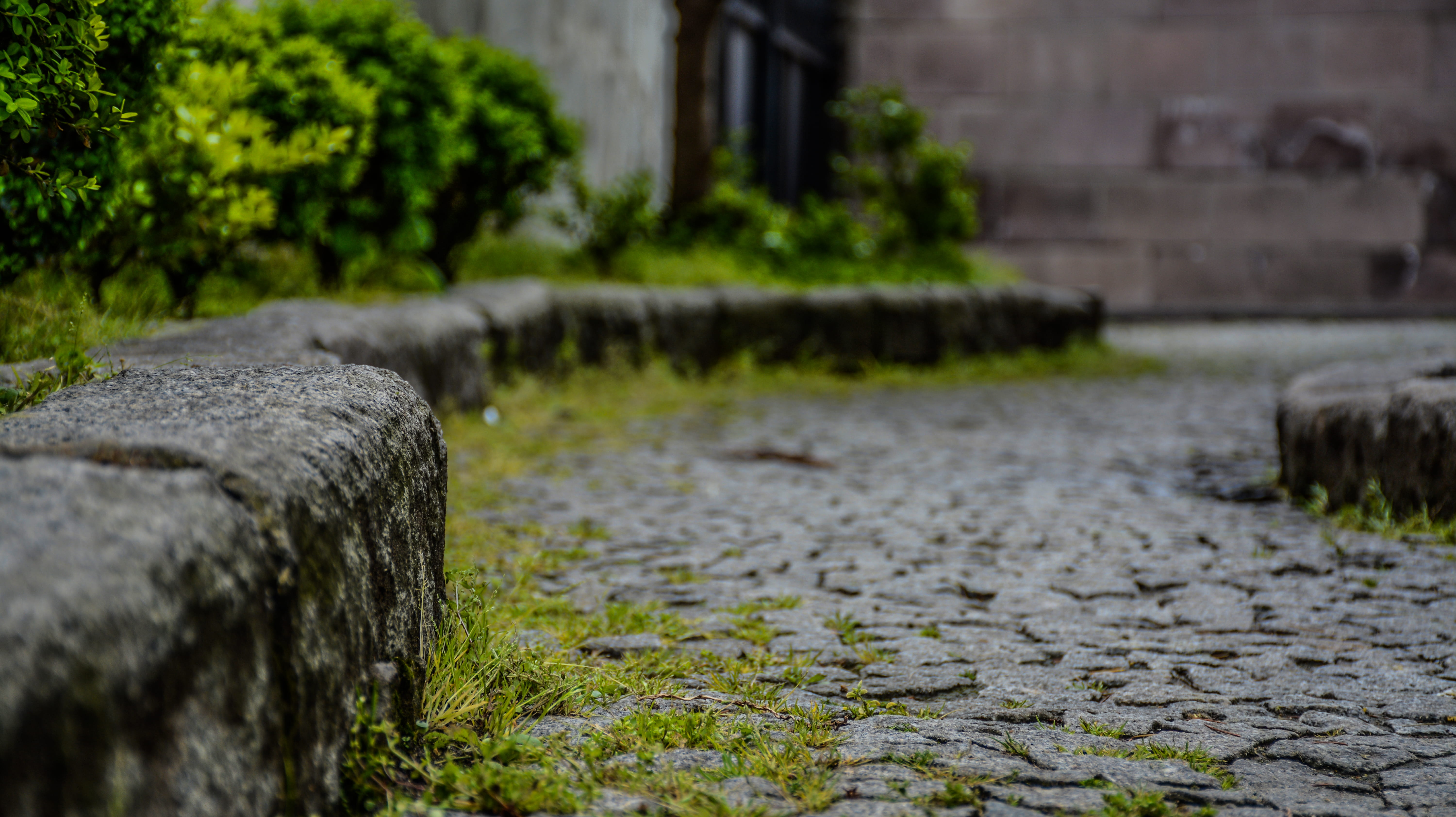 stone, kostaki, track, rock, stone material, day, surface level, footpath, outdoors, grass, trabzon, no people, street, focus on foreground, nature, solid, HD Wallpaper