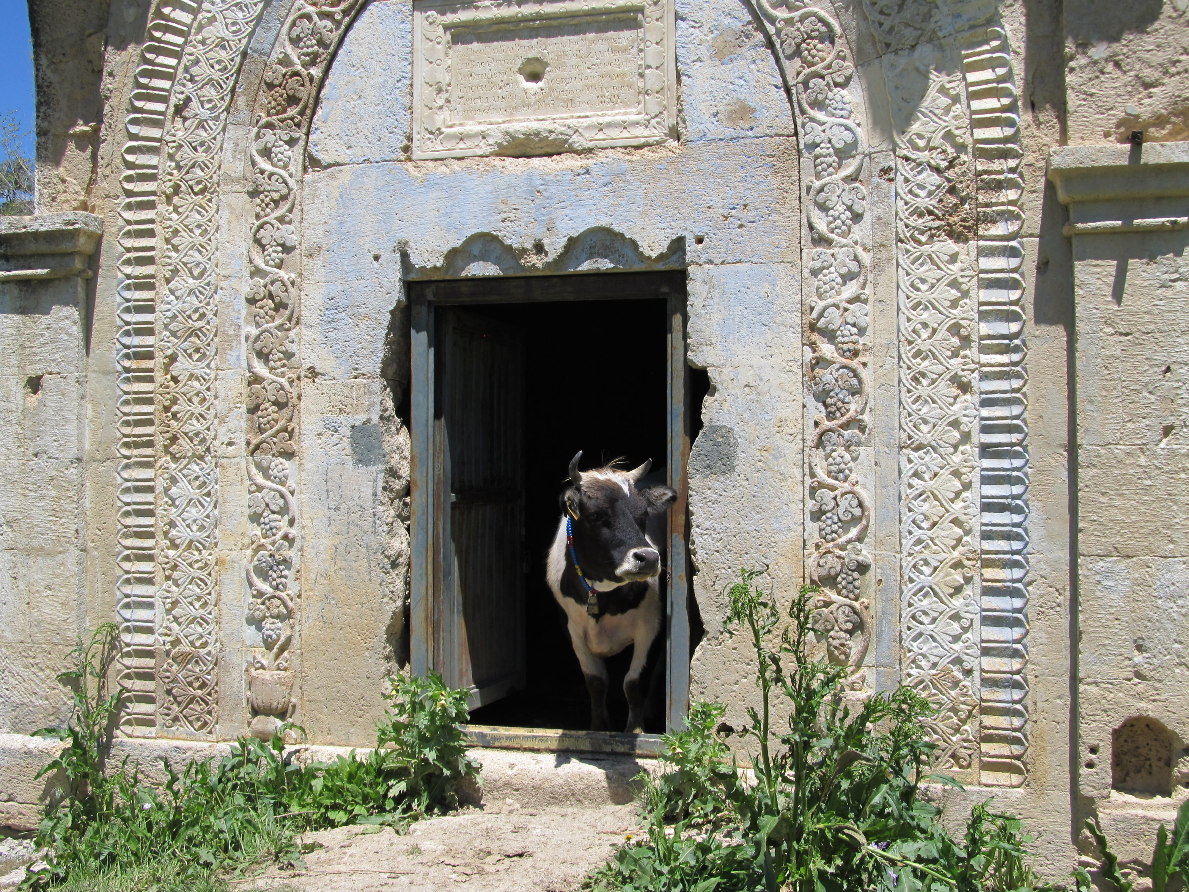 built structure, beauty, domestic, architecture, no people, window, day, entrance, pets, animal, vertebrate, one animal, travel, mammal, 4K, outdoors, HD Wallpaper