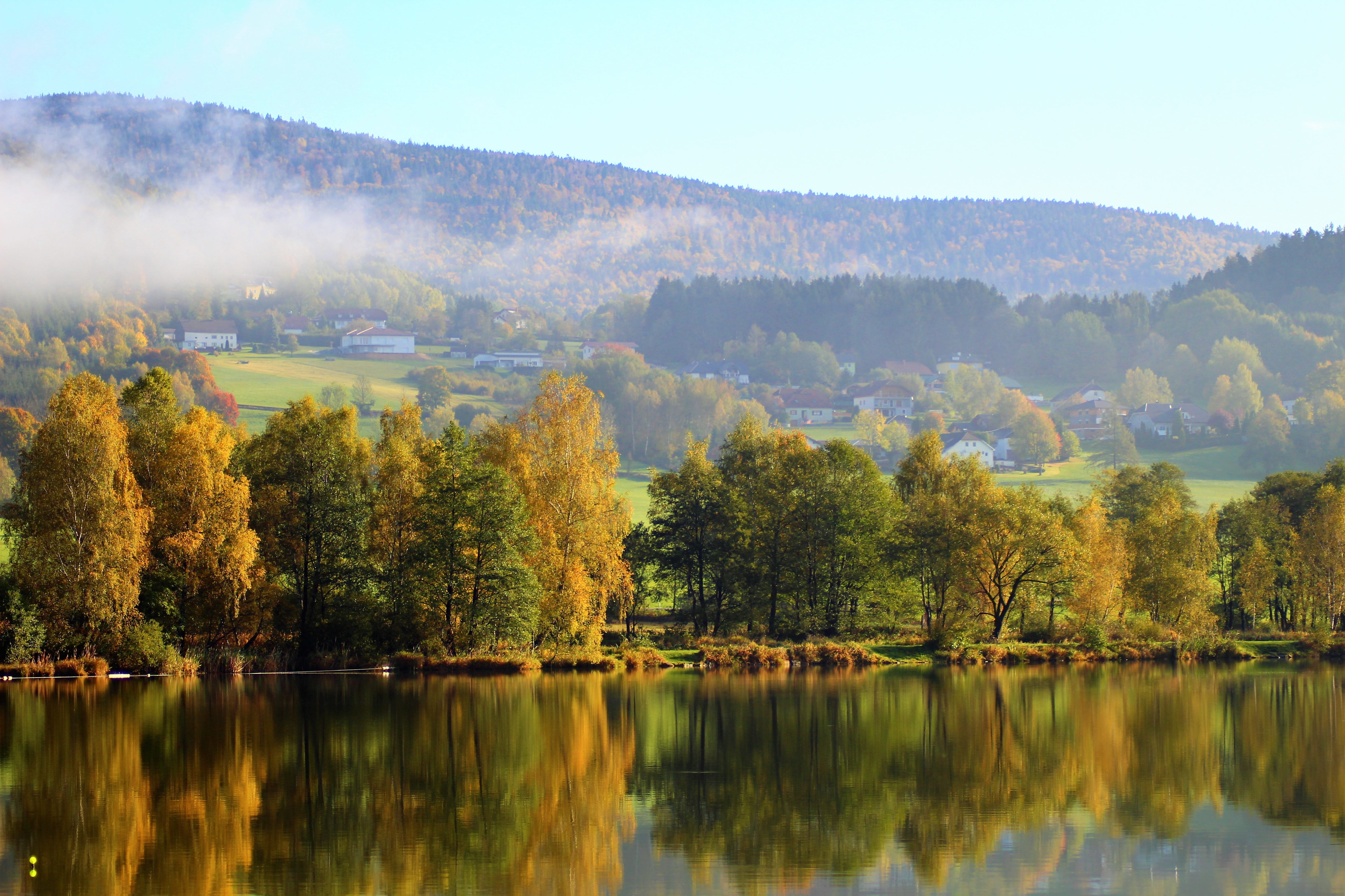 non-urban scene, fall color, calm, hidden, yellow, austria, bank, leaves, relaxing, landscape, hiking, no people, waterfront, deciduous forest, colorful, HD Wallpaper