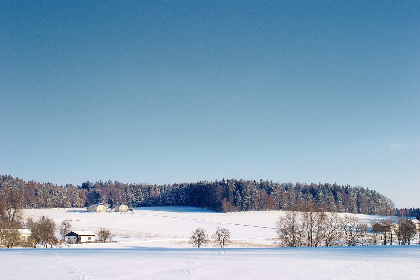 tree, land, Panorama, Hill, beauty in nature, nature, blue, no people, innviertel, tranquil scene, scenics - nature, snow, sky, upper austria, clear sky, HD Wallpaper