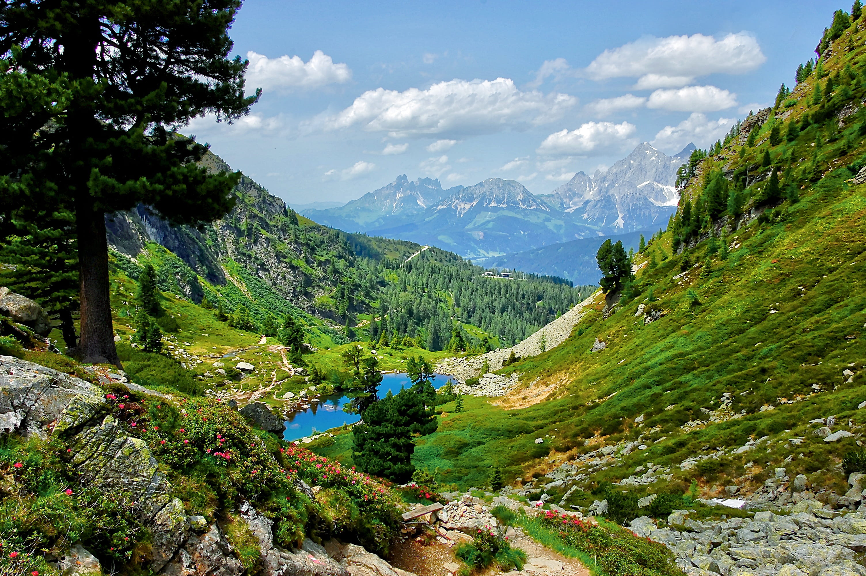 austria, mountains, 2K, landscape, green color, idyll, hike, tranquility, sun, non-urban scene, sky, growth, summer, cloud - sky, environment, schladming, HD Wallpaper