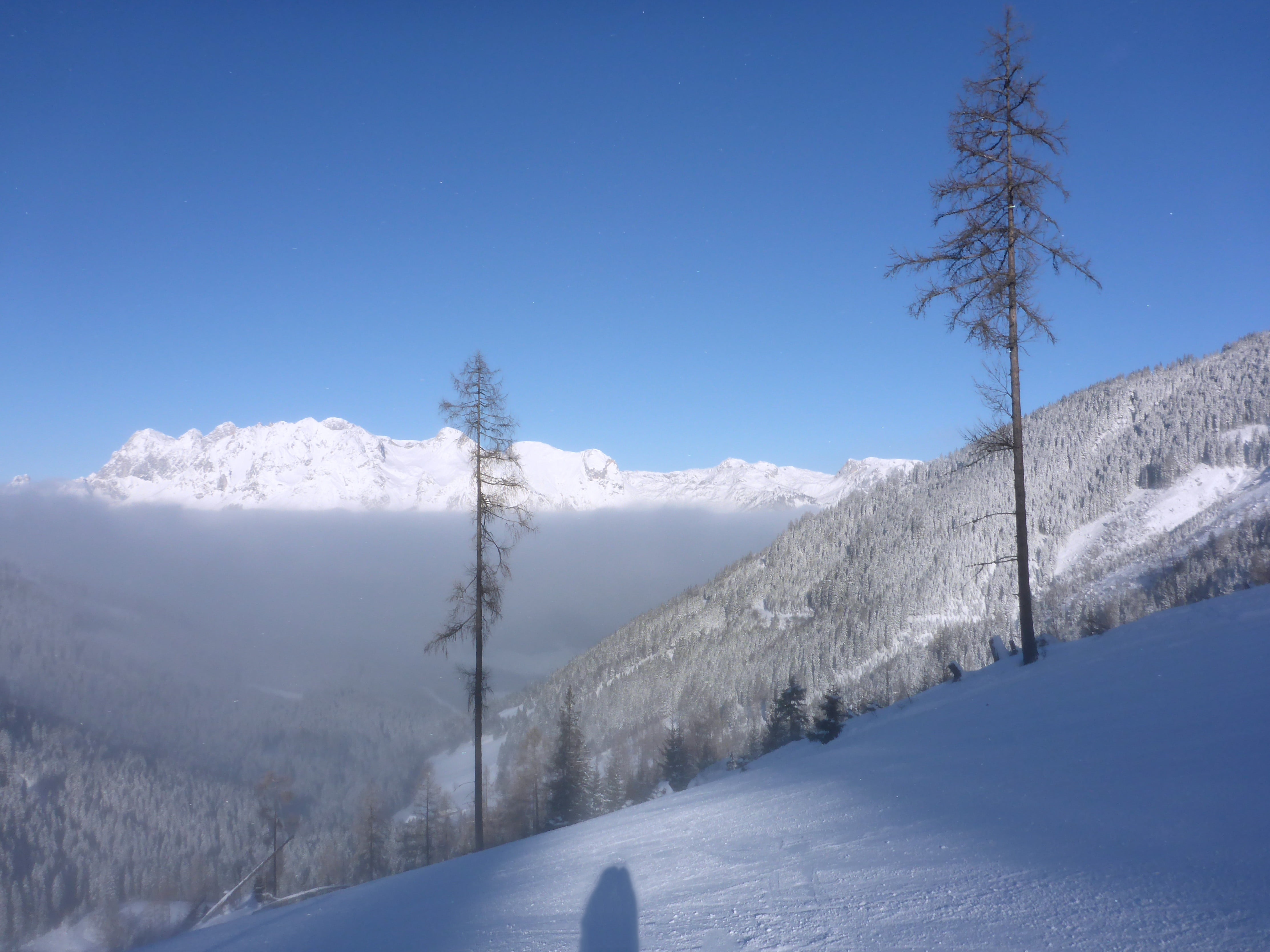 snow, snowy, cold temperature, black, ski run, coniferous tree, tranquil scene, ski, beauty in nature, runway, winter, outdoors, nature, 4K, drive, blue sky, HD Wallpaper